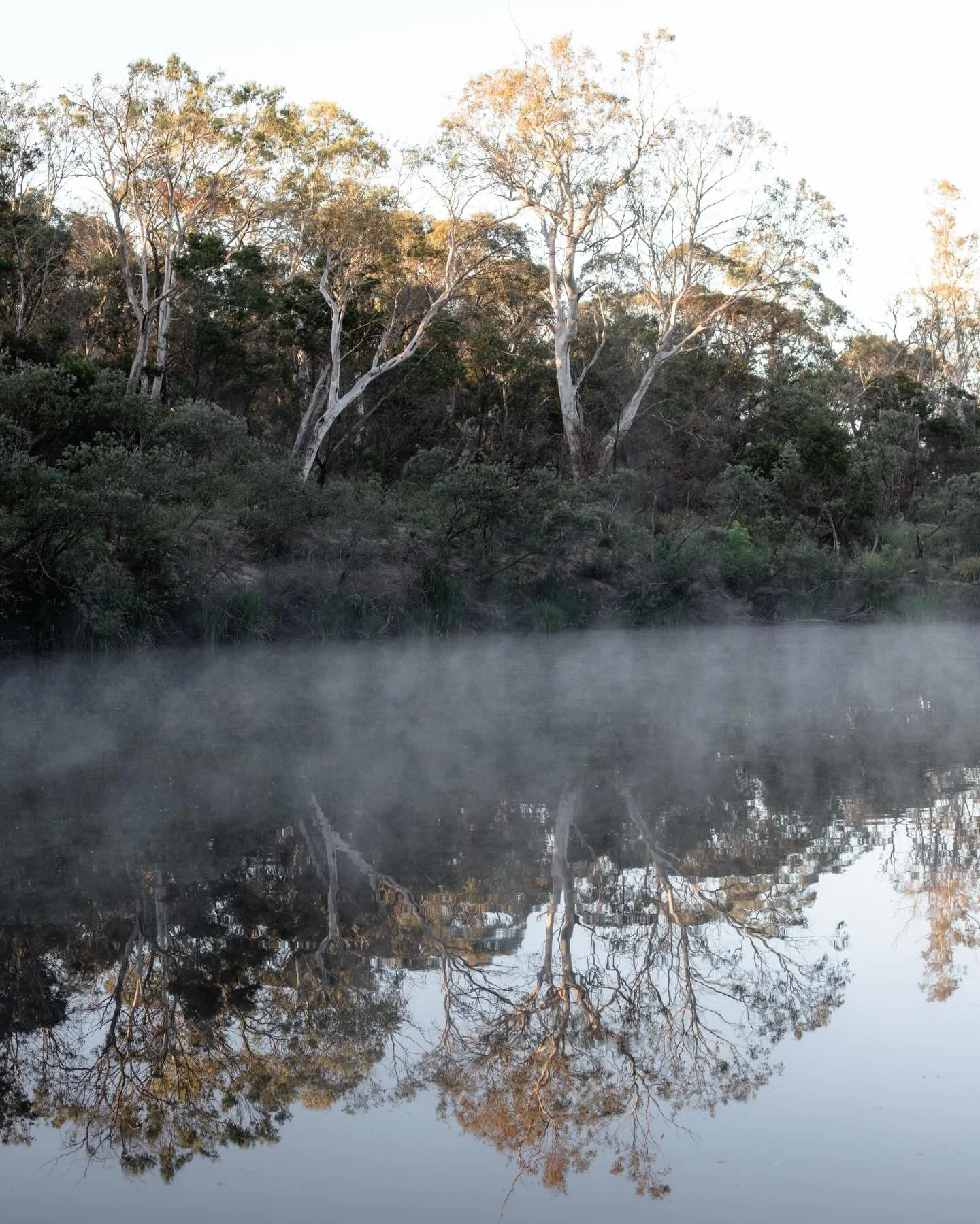 The practice of noticing the little things. 

Earlier in the month, Dad and I took our cameras out for a day in the Highlands - no agenda, just capturing the small details that took our eye as we slowly made our way around the district. 

The act of 