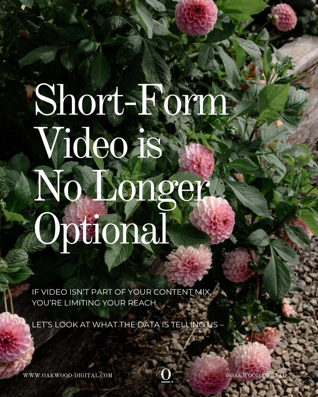 The days of a square photo and basic caption are long over. 

If you want to reach more people, encourage meaningful engagement and drives sales &mdash; you need to be looking at short-form video in your content mix. 

Using actual data (swipe throug