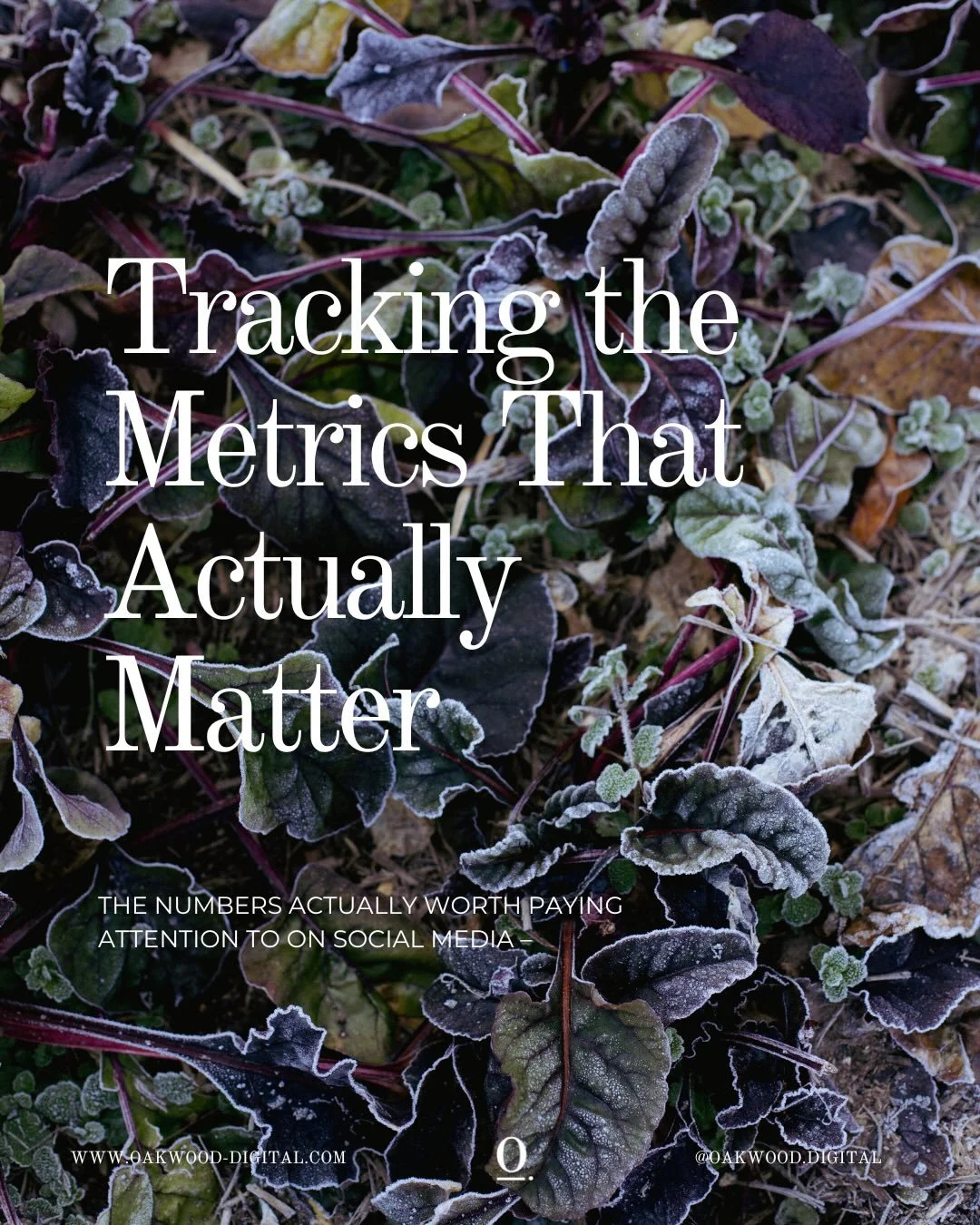 Are you pumping out content but not sure if any of it is actually working? 

It&rsquo;s easy to get caught up in likes, views and follower numbers, but the most valuable insights usually come from understanding how your content is contributing to you