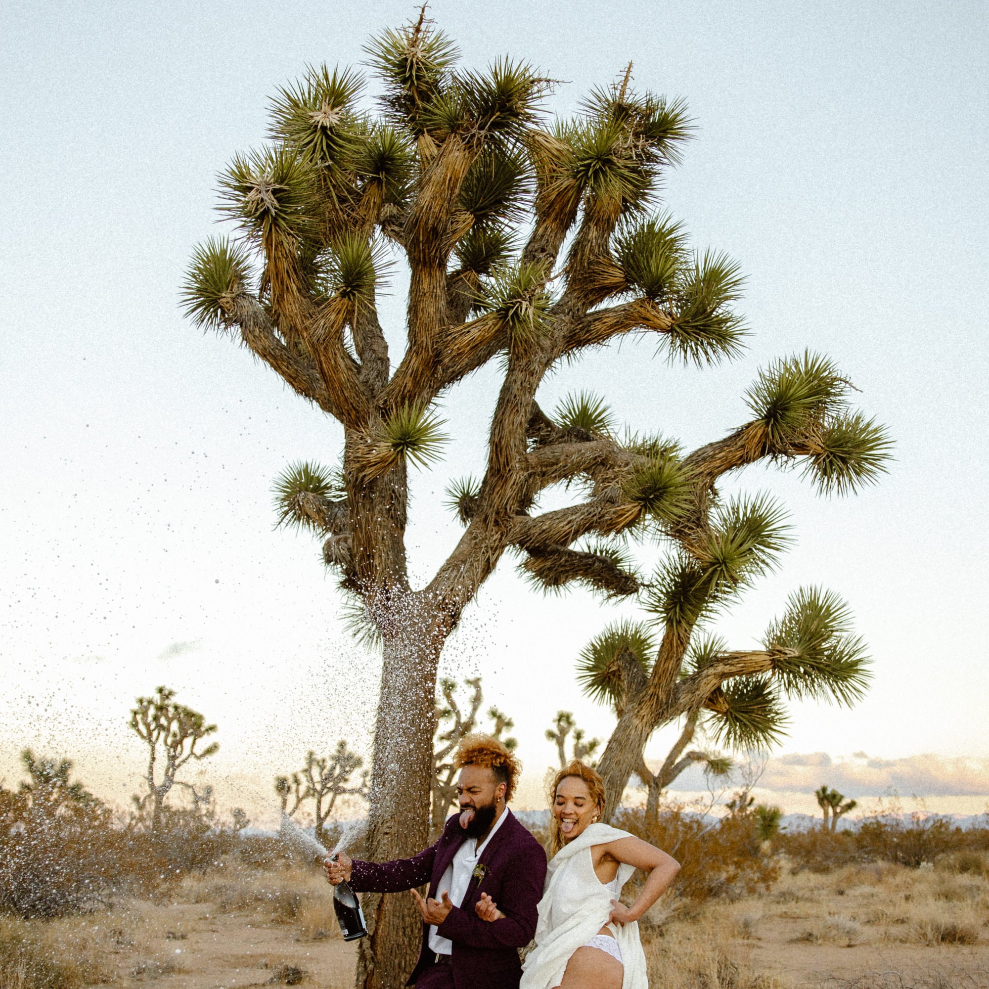 Joshua Tree Elopement celebrating in Joshua Tree at their California Elopement.