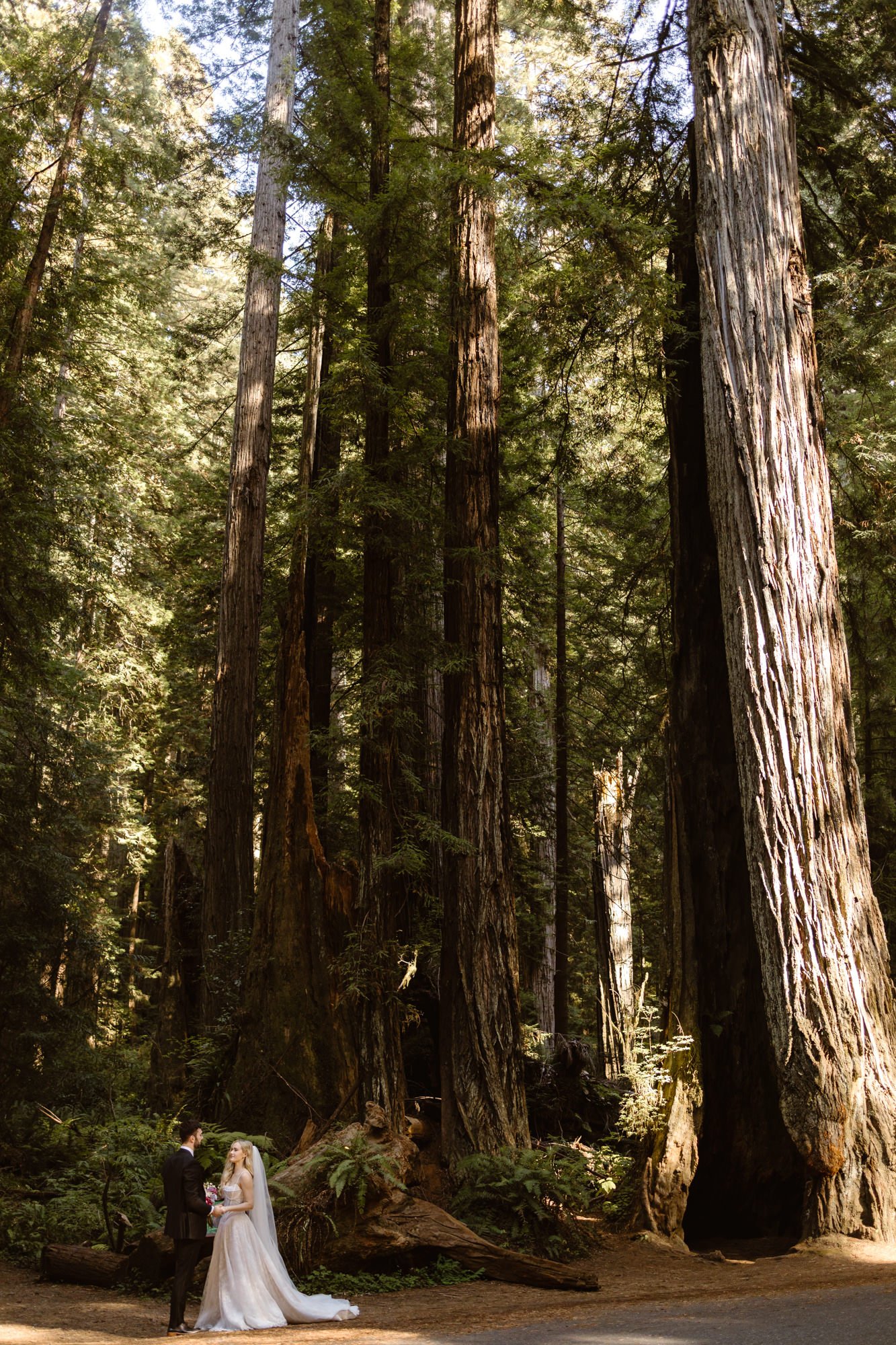 A bride and groom standing in a lush forest with towering trees, sunlight filtering through the leaves, and moss-covered ground.