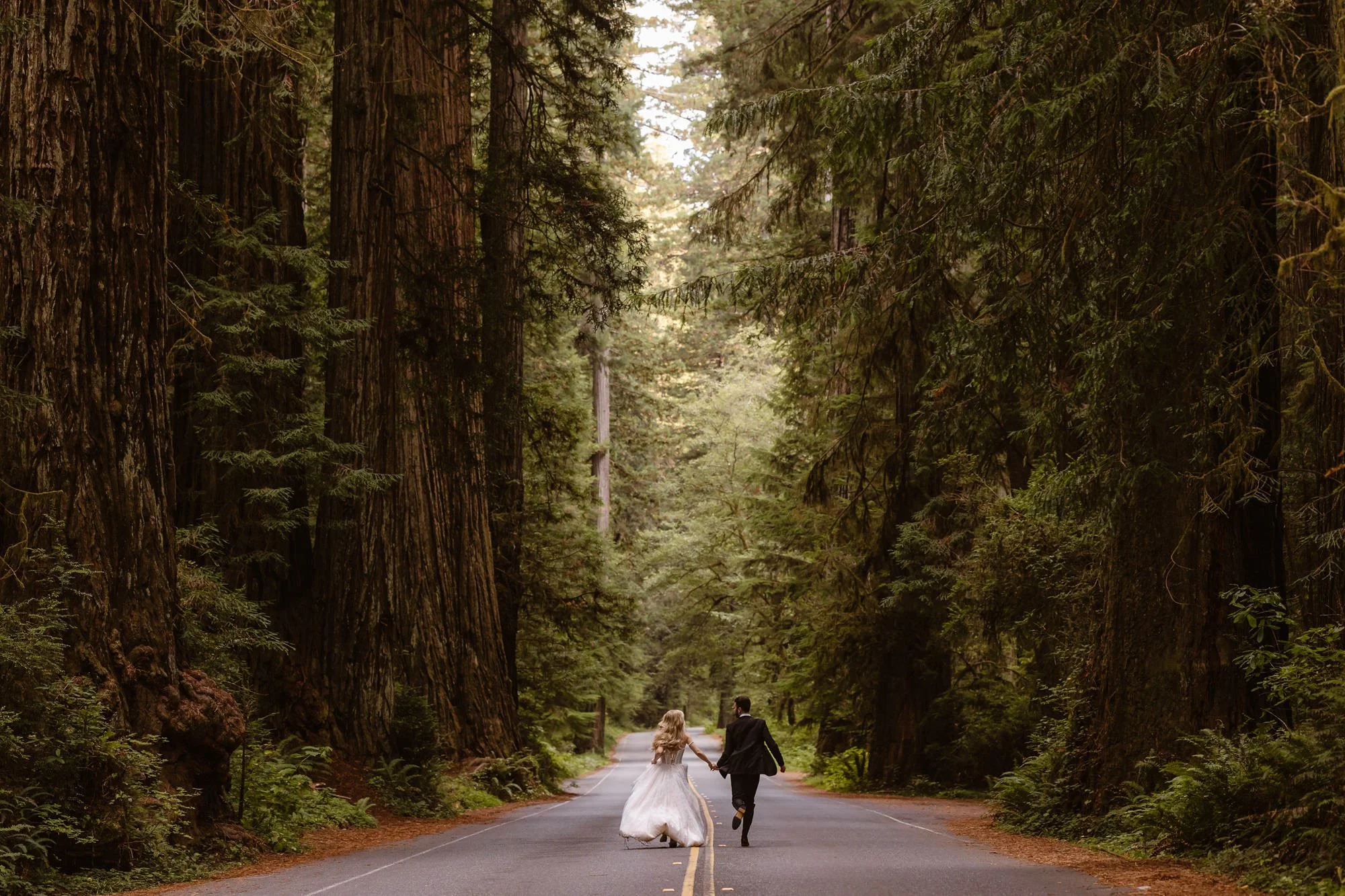 A bride and groom walk hand in hand down a forested road surrounded by tall trees, with the bride in a white gown and the groom in a dark suit.