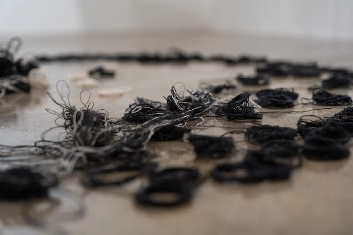 AshleyLarson_ShowAndTell_WaveIII_GalleryExhibition_March2026-small-043.jpg