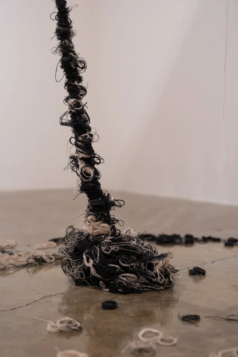 AshleyLarson_ShowAndTell_WaveIII_GalleryExhibition_March2026-small-007.jpg