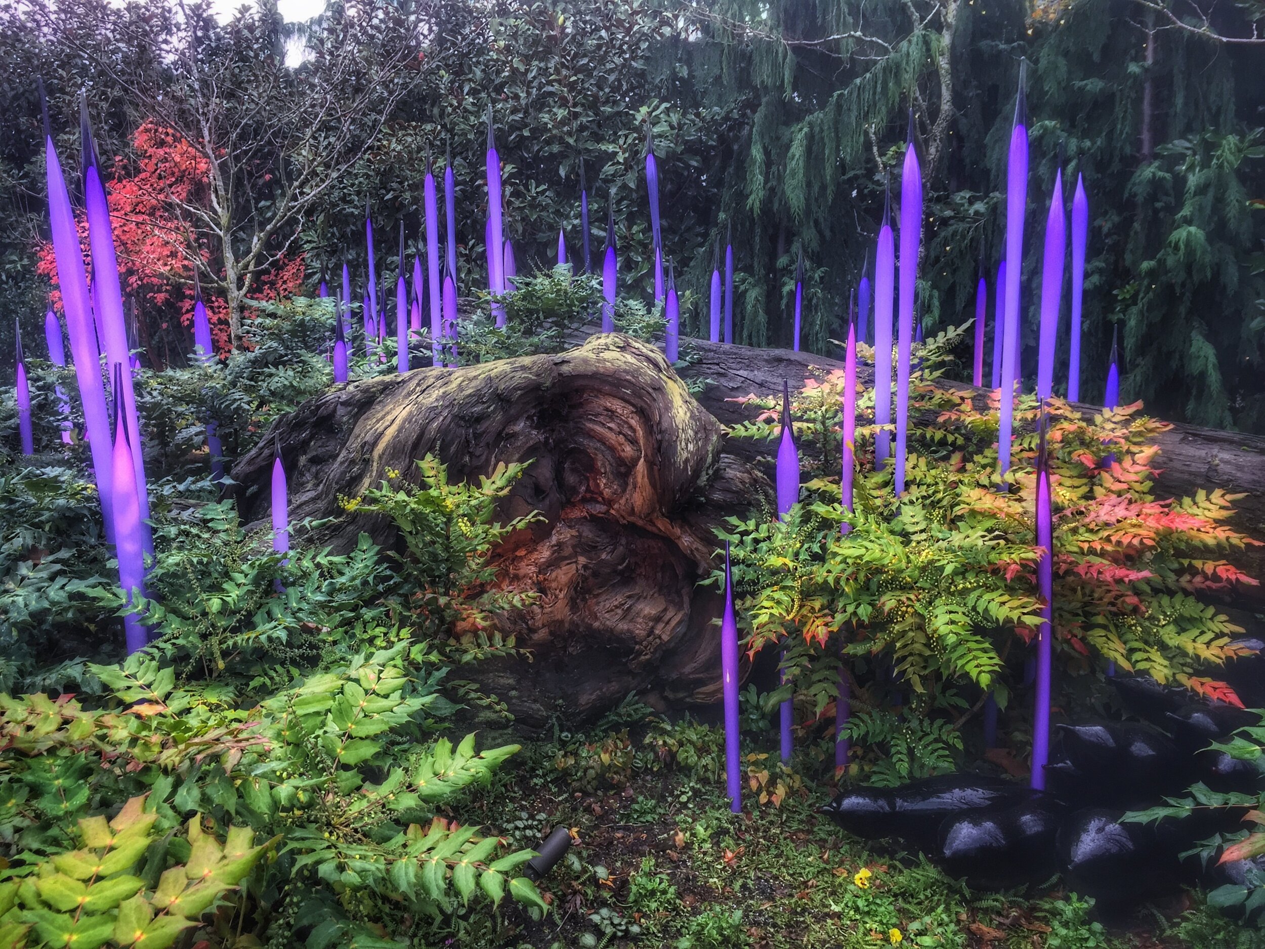 chihuly.jpg