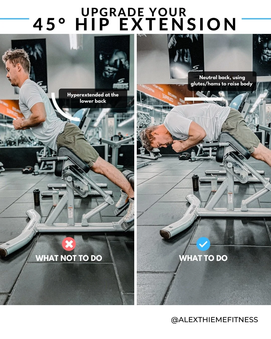 Hip Extension Exercise