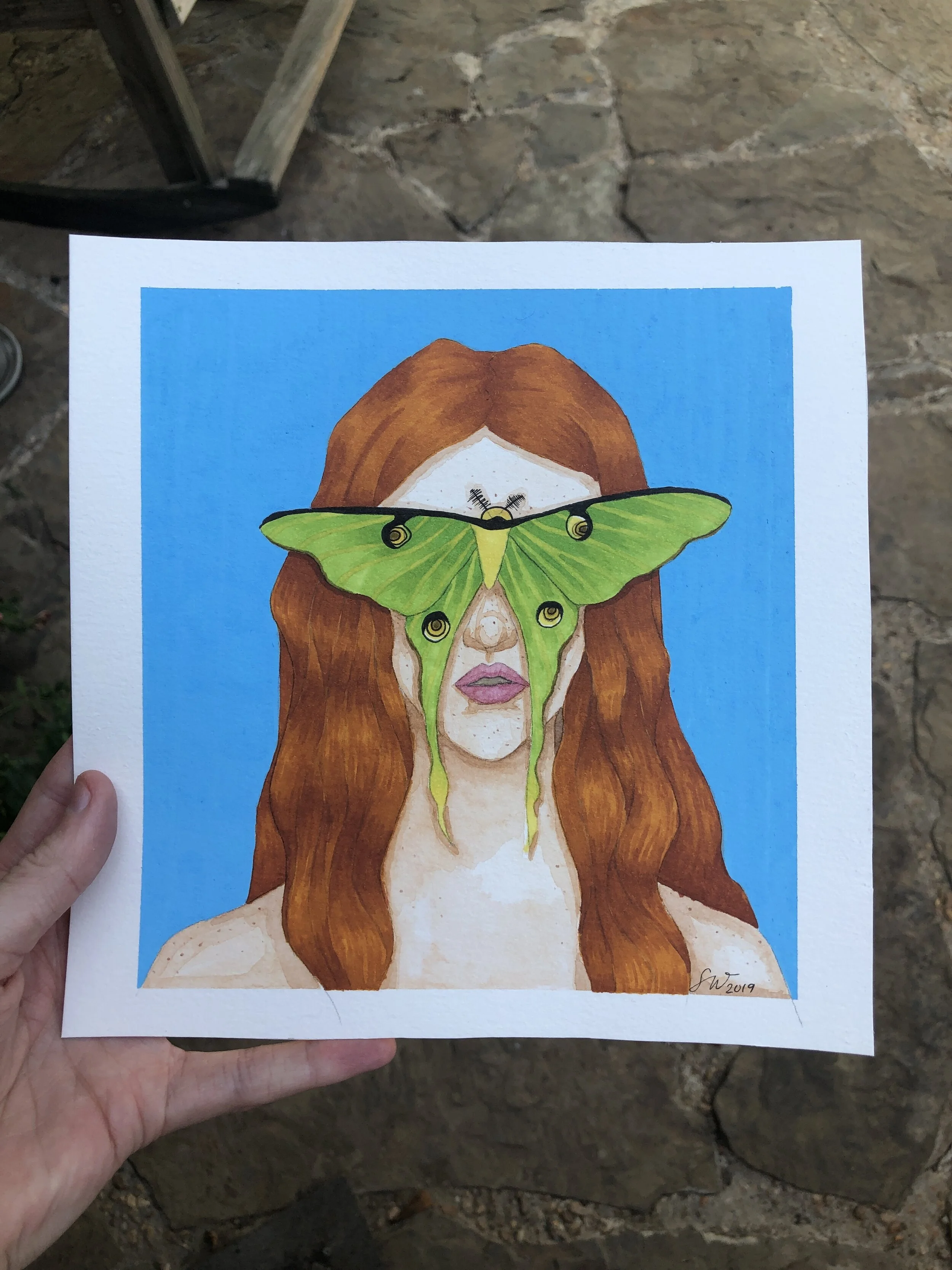 Moth Eyes- 2019 
Alcohol Markers & Posca Pens 