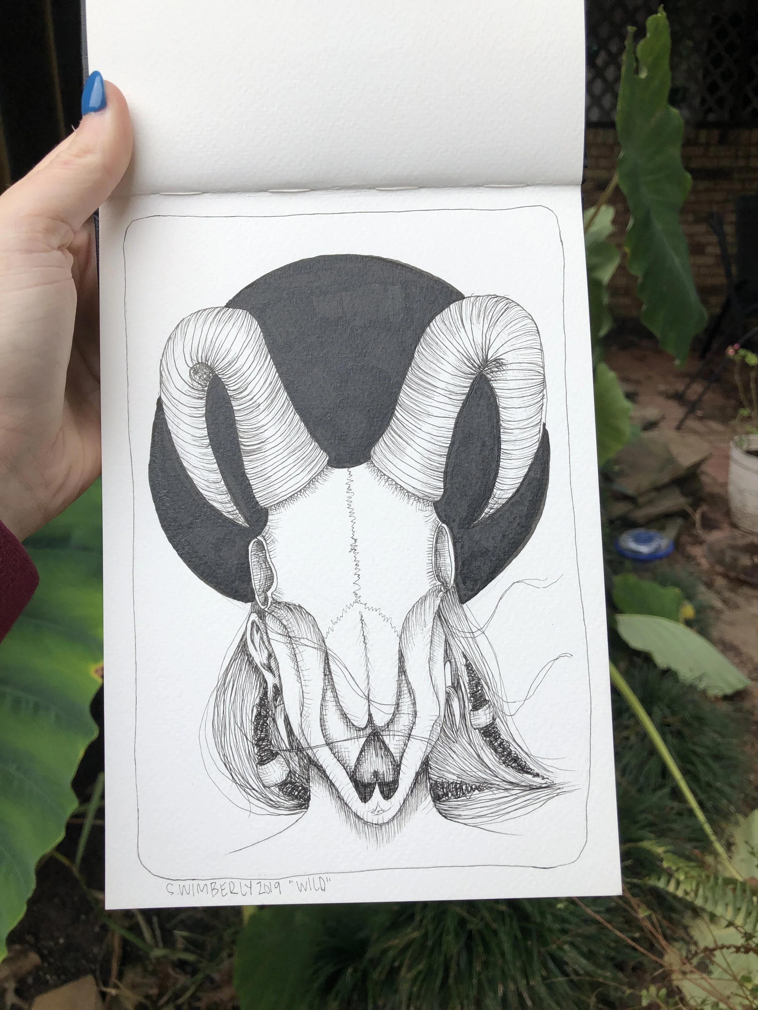 Inktober - 2019 
Ink 