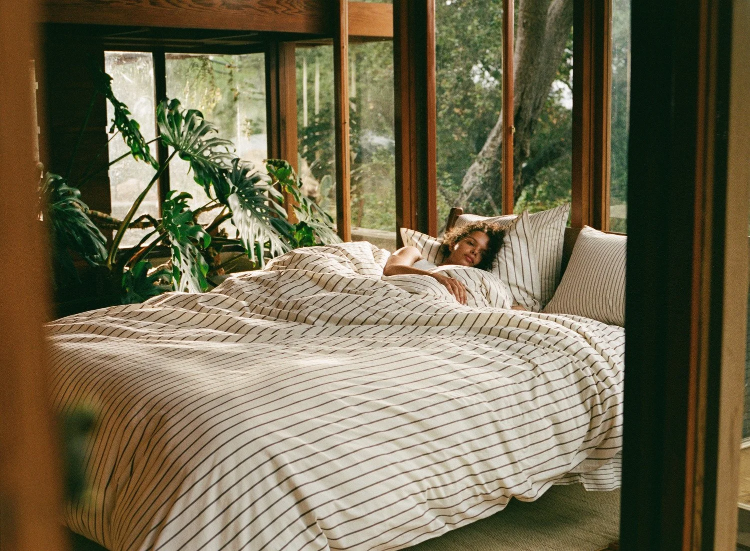 PH_Q2-26_Campaign_Summertime-Softness-Plush_90.jpg