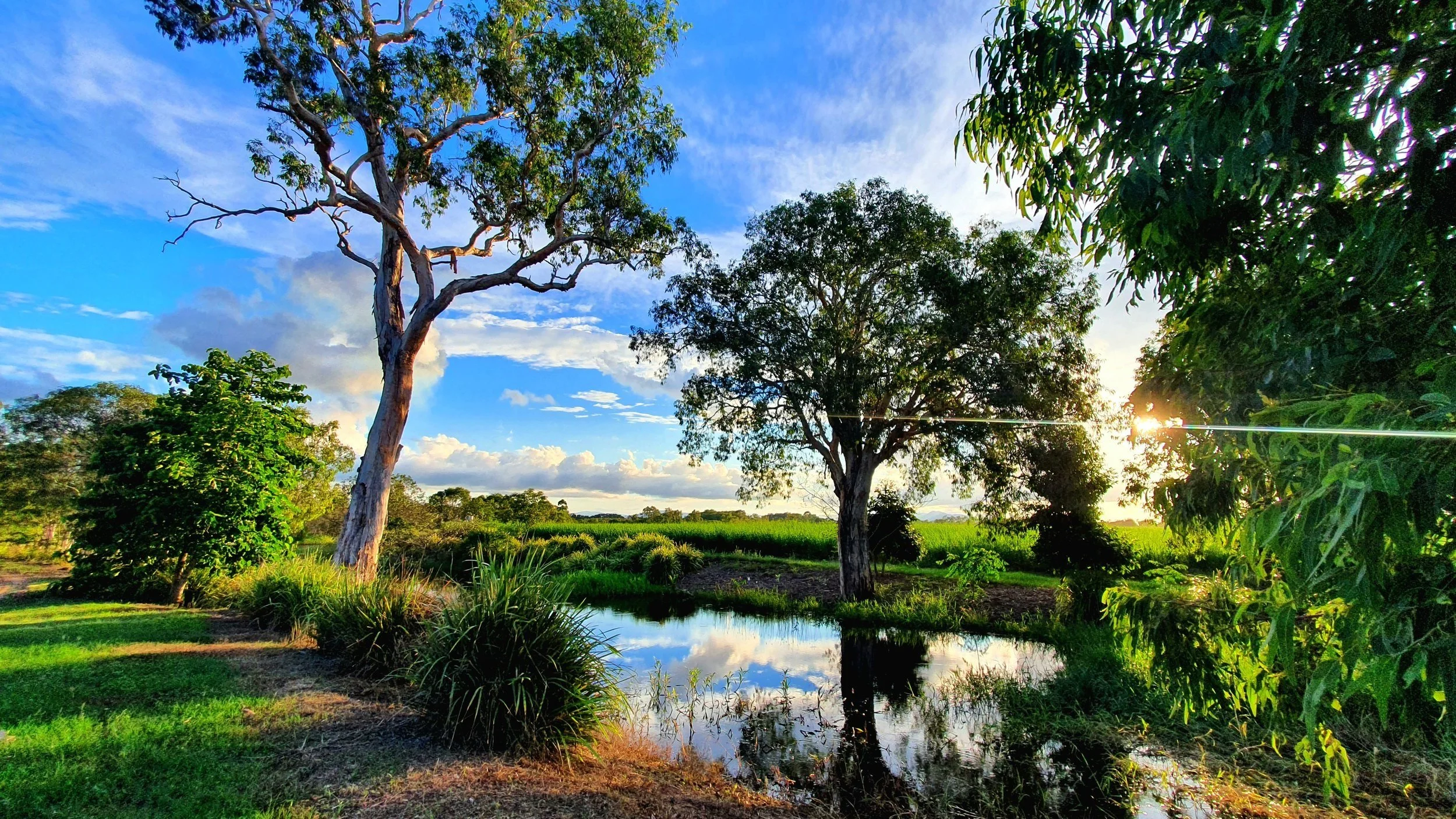 The Waters Ooralea Mackay House & Land Packages