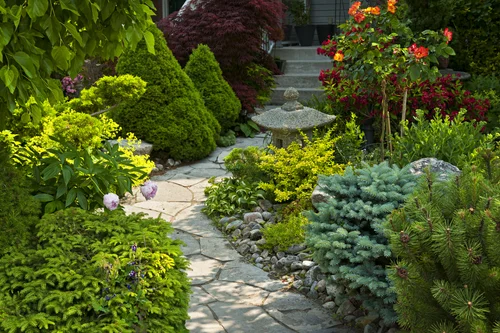 Contact 1 — Sunflower Garden Design