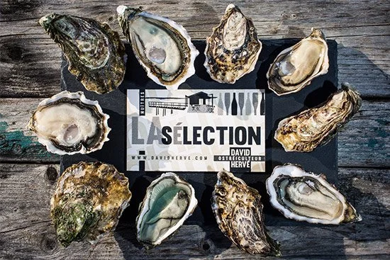 Salomée Hervé zu Besuch in der Austernbar