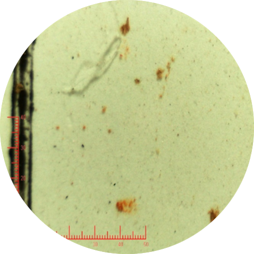 Microscopic-image-of-oil-sample