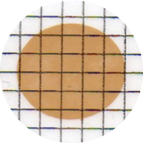 Microscope-membrane-image-of-oil-sample