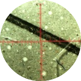 Microscopic-image-of-oil-sample-detailed