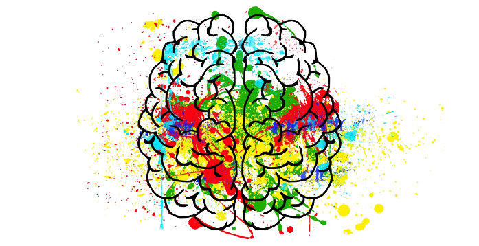 Illustration colorée d'un cerveau vu de dessus avec éclaboussures de peinture.