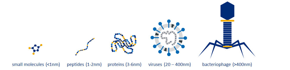 Figure 2. Range of target sizes for Molecularly Imprinted Polymers
