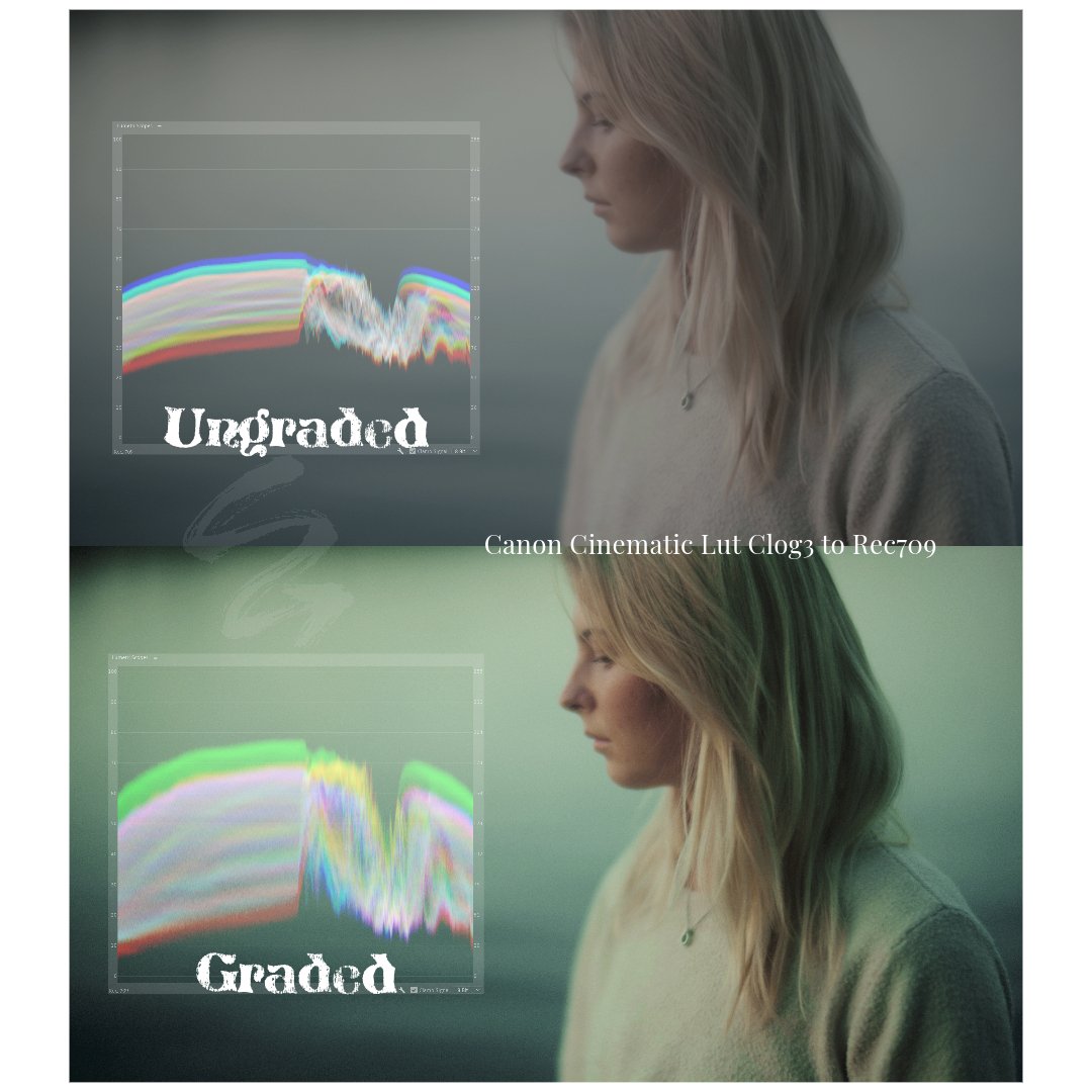 Canon Cinematic Lut Color Grade Clog 3 to Rec 709.jpeg
