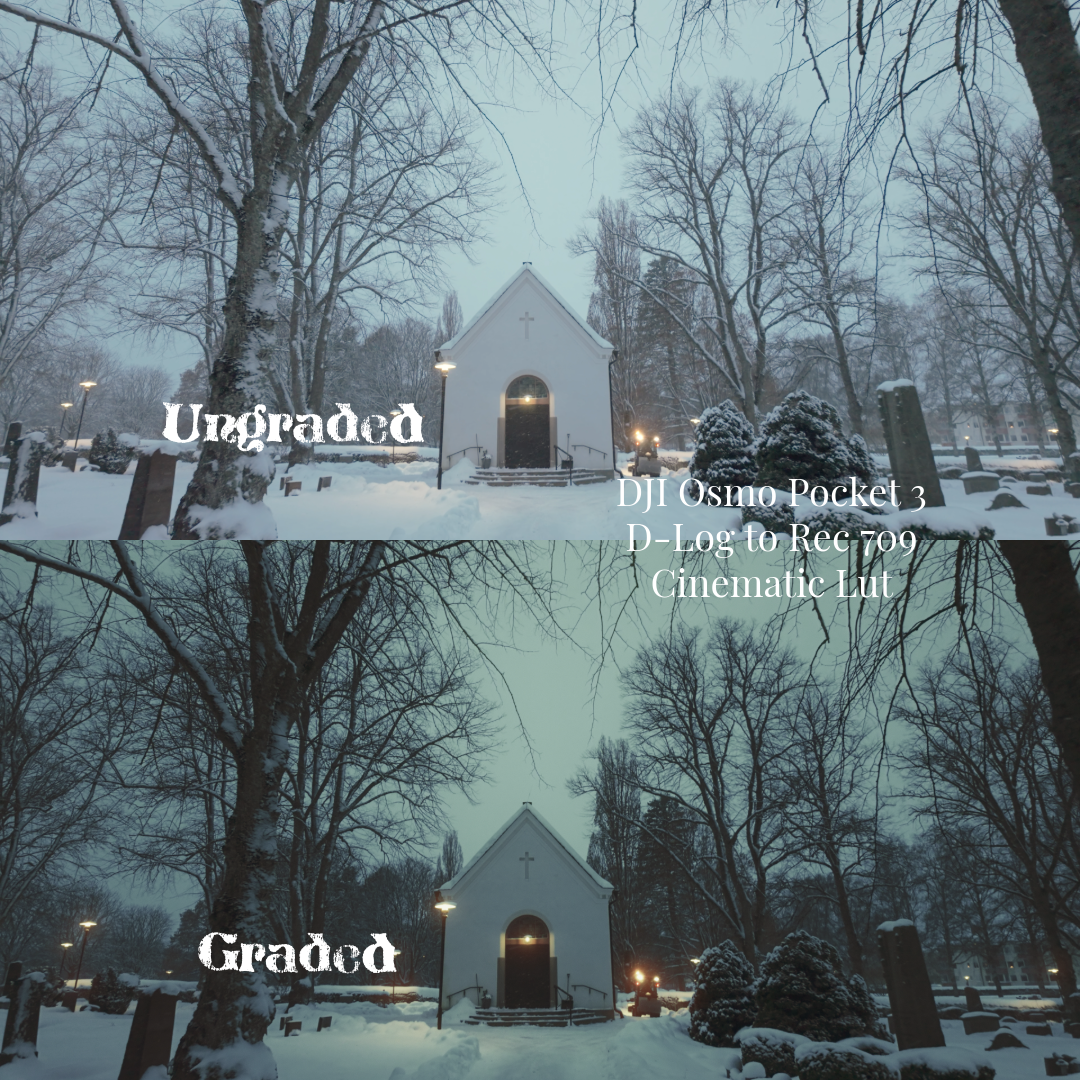 DJI Osmo Pocket 3 D-Log to Rec 709 Lut.png