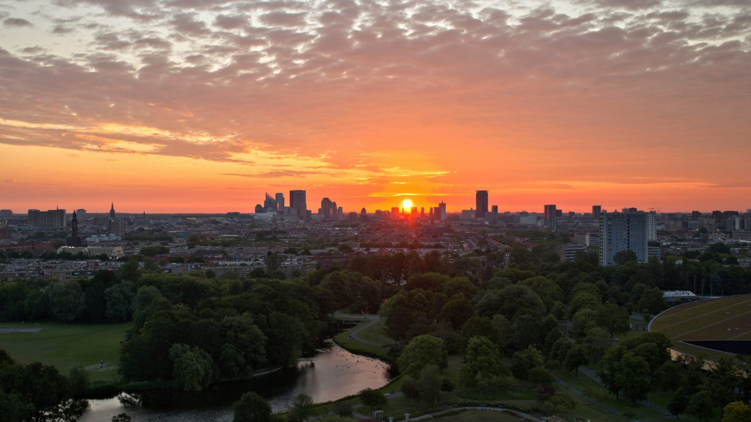 Skyline Den Haag.jpg