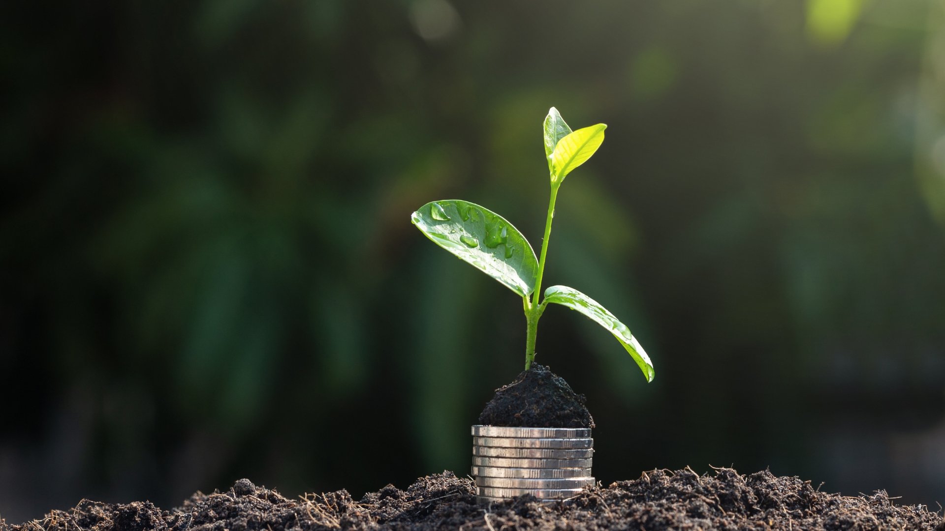 Beyond Budgets: How Singapore's New Generation Redefines Financial Wellness as Self-Care