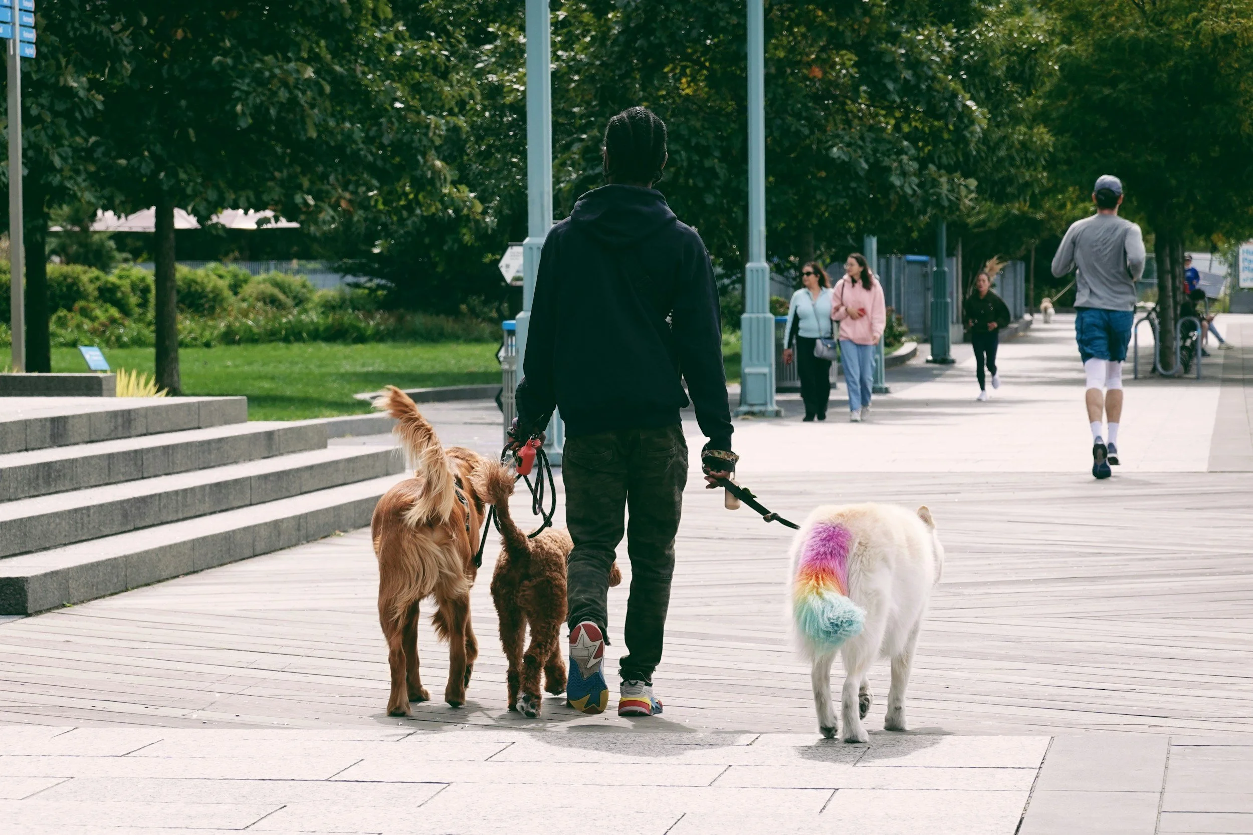 A happy family walking their dog outdoors in a lush Singapore park. Alt-Text: A family walking their pet outdoors in a lush Singapore park setting.