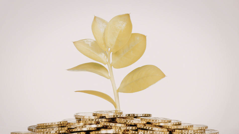 The Great Wealth Transfer Reality Check: Why Passing Down Your Legacy Takes Decades, Not Days&nbsp;