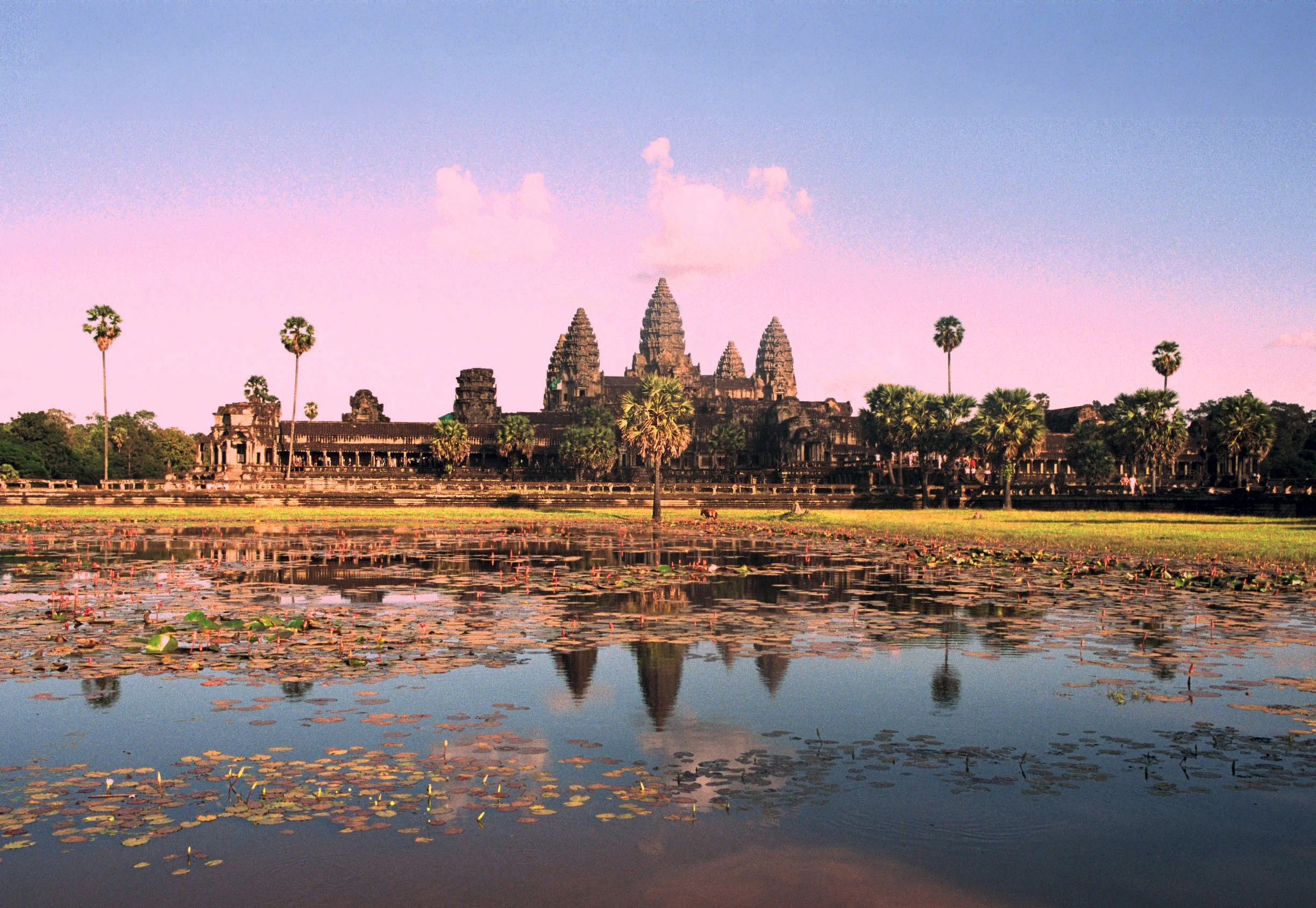 The towers of Angkor Wat reflected in a lotus pond at sunrise