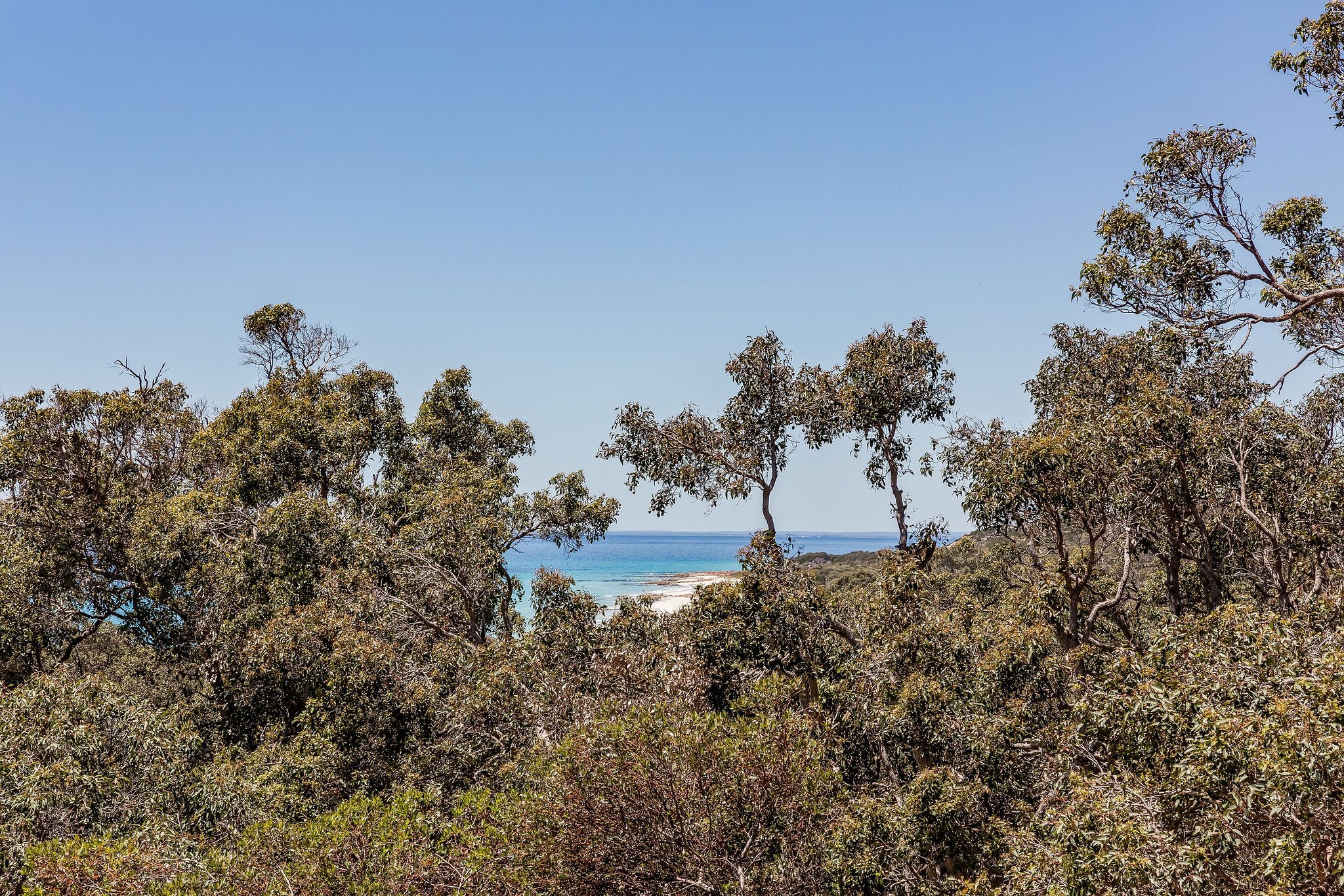 EagleCres14-2_View-1.jpg