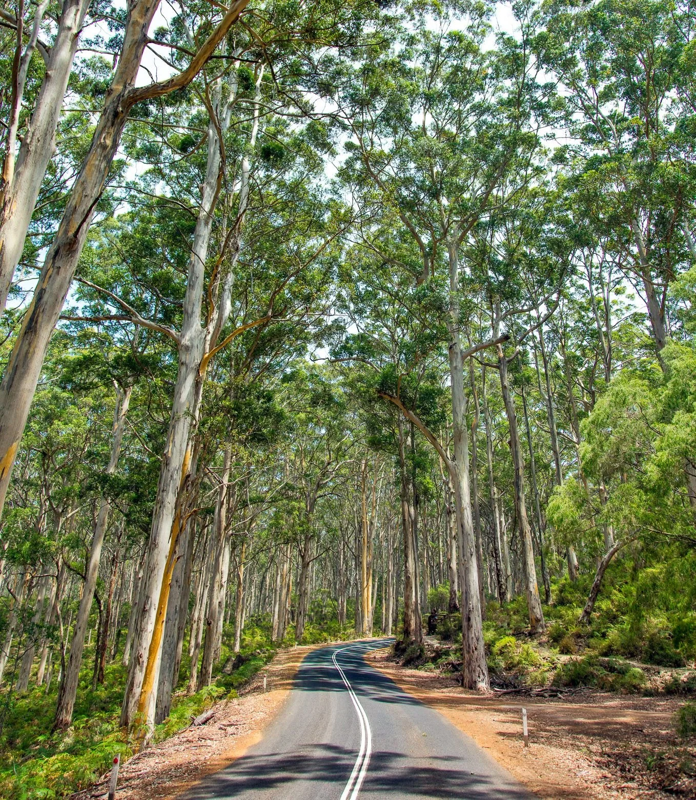 3-Day Winter Holiday Itinerary in WA's South West