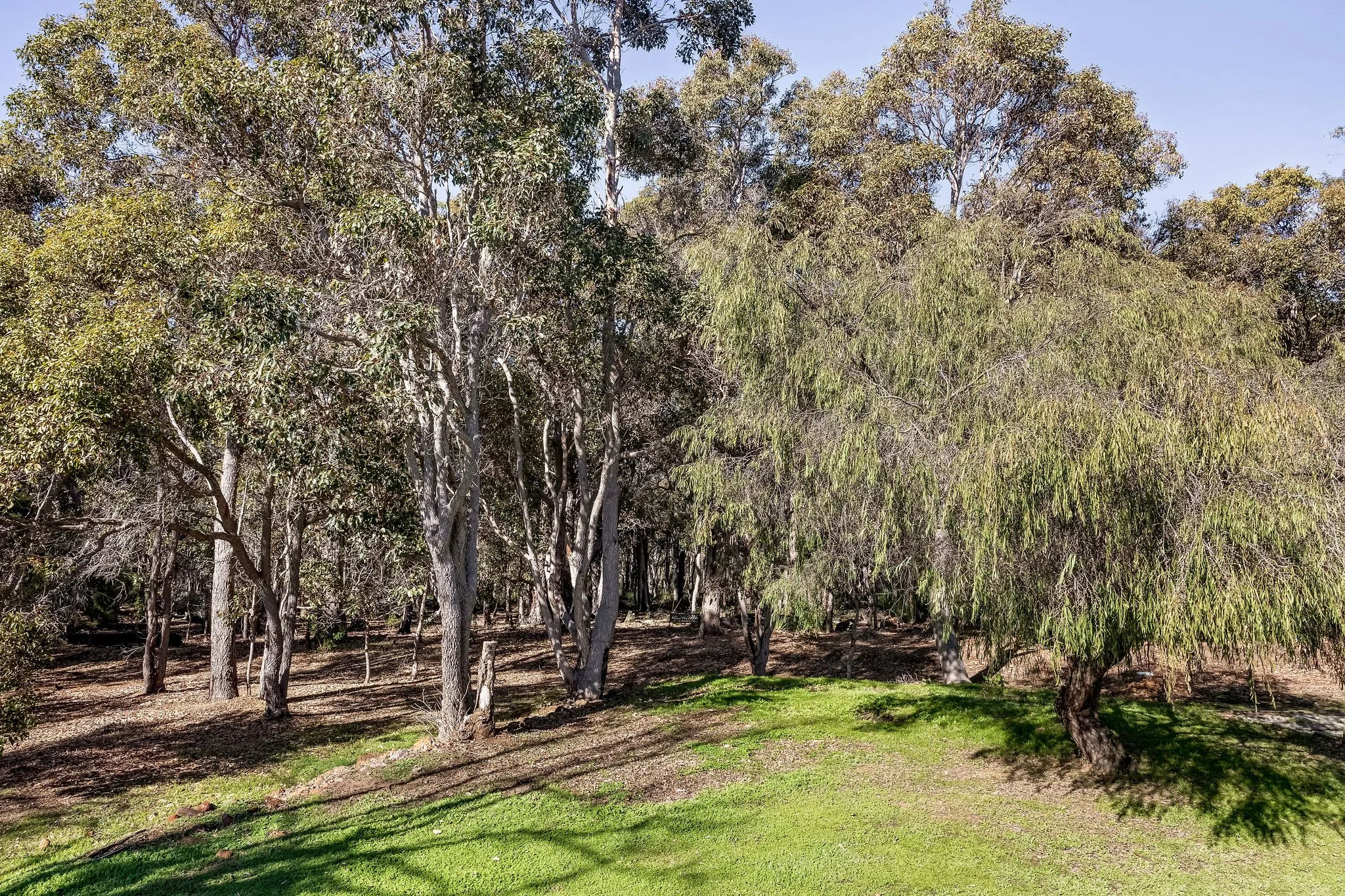 Lochinvar22_NativeBush_ViewFromDeck-1.jpg