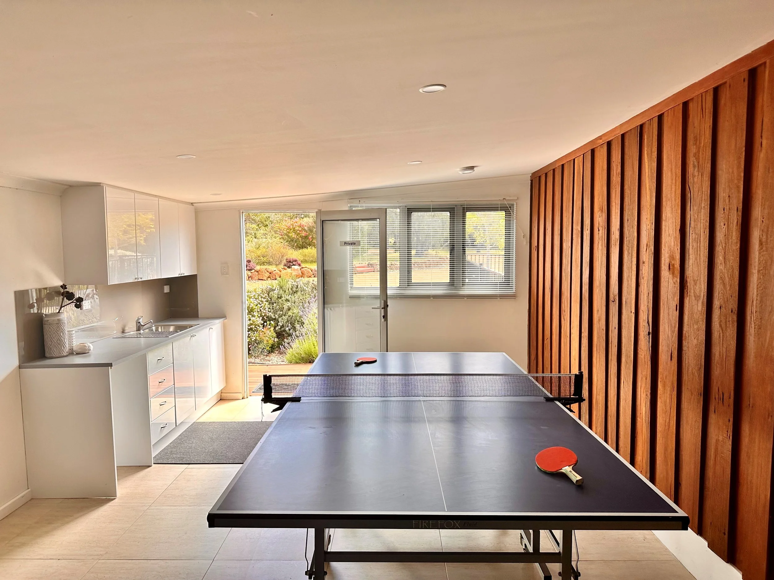 Ping pong.jpg