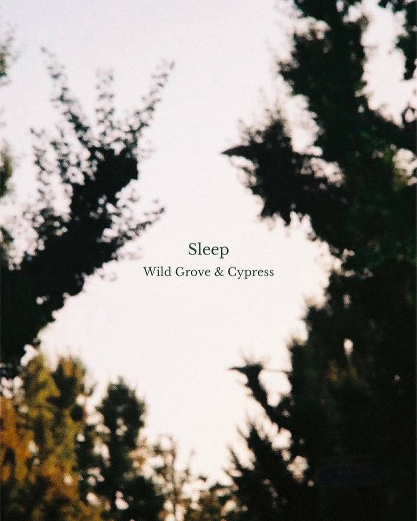 discovery kit 03: before midnight. coming soon &mdash; Sleep takes us deep into the wilderness; grounded in earthy cypress and smoky blends of patchouli and fir seeping through the air. swipe for scent notes. #athingofsense #scentscape