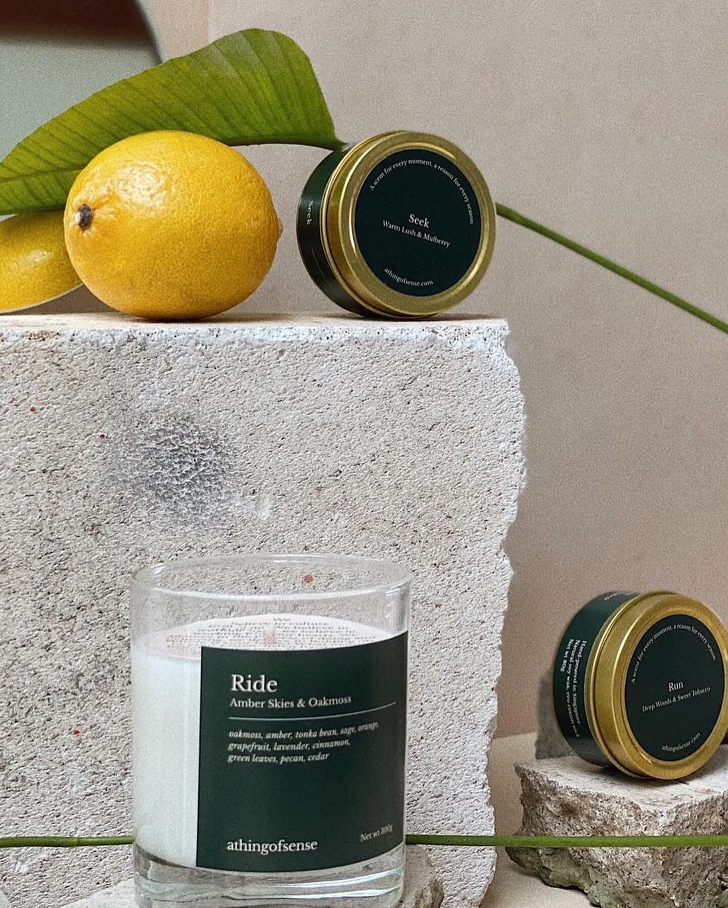 sittin&rsquo; real tight on the edge. we&rsquo;d like to think the view is better up there &ndash; &amp; it&rsquo;s scented too. explore athingofsense.com/scentscape #athingofsense