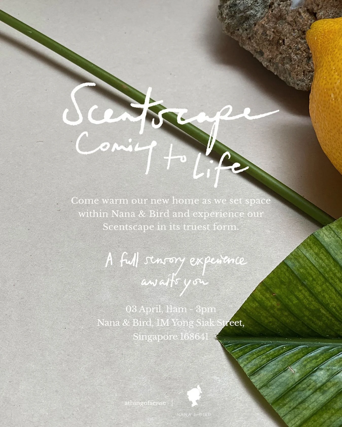 a new home seeing us through a new season. come warm our space and experience our Scentscape in its full glory @nanaandbird &mdash; opening April 3rd #athingofsense #withnanaandbird
