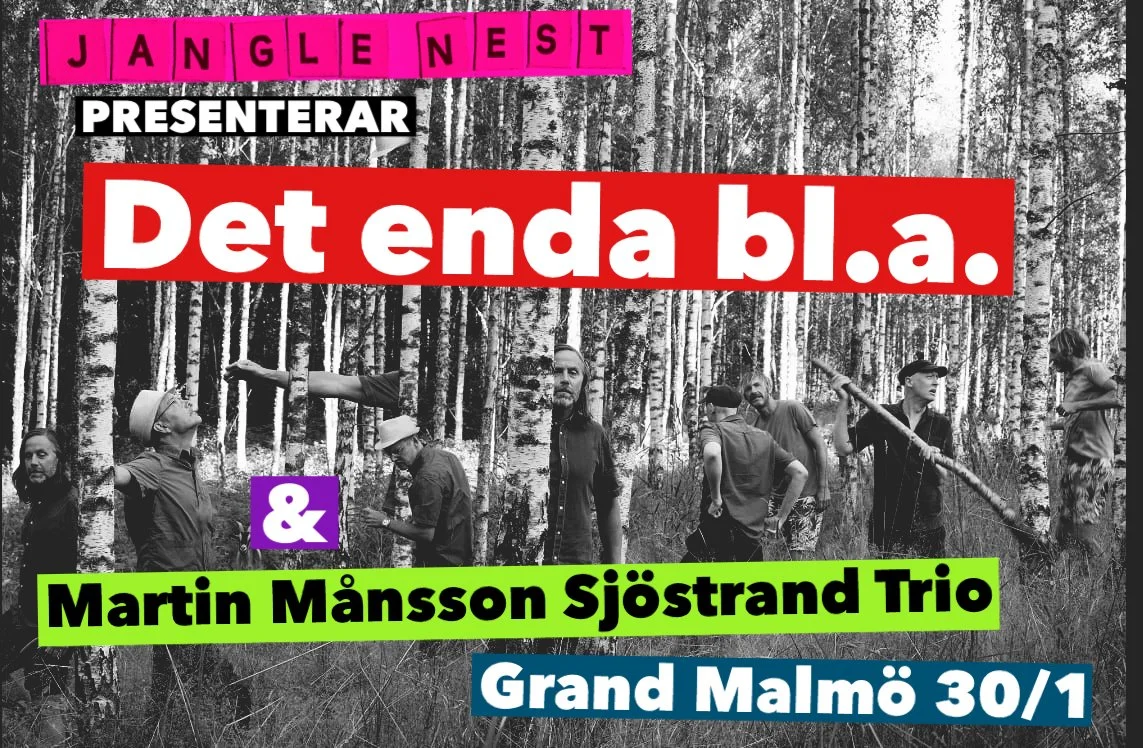 Live: Jangle Nest pres. Det Enda bl.a + Martin Månsson Sjöstrand Trio