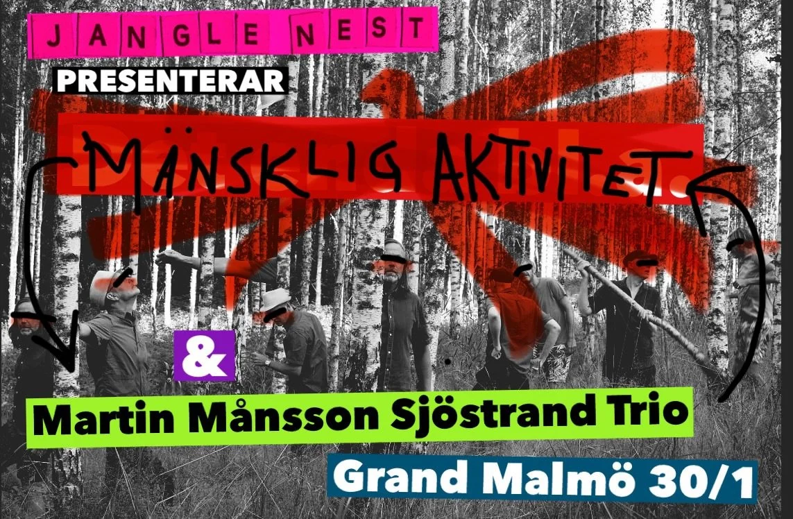 Live: Jangle Nest pres. Martin Månsson Sjöstrand Trio + Mänsklig Aktivitet