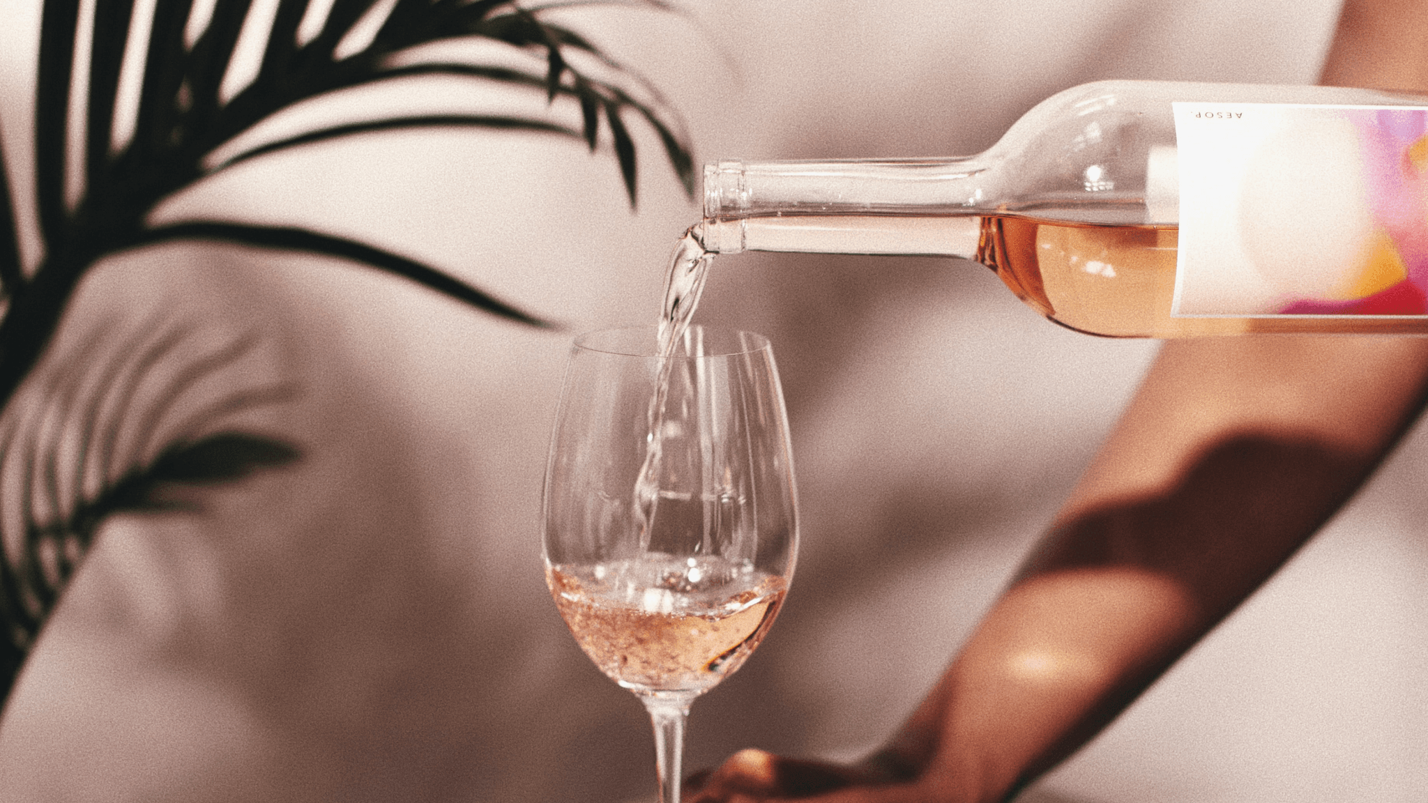 Mat- och Vinprovning med Malmö Wine Club