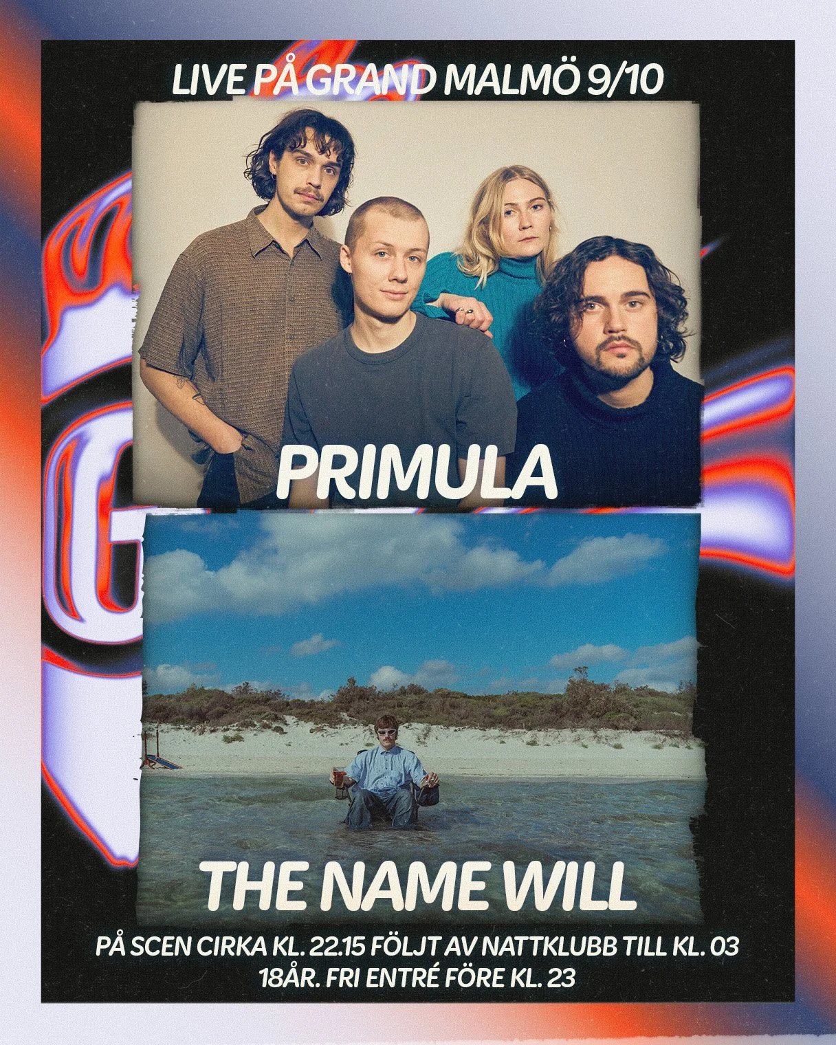 Live: Primula + the name Will