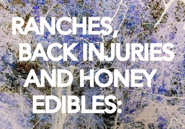 Neil Young’s Relationship with Carrie Snodgress in Song