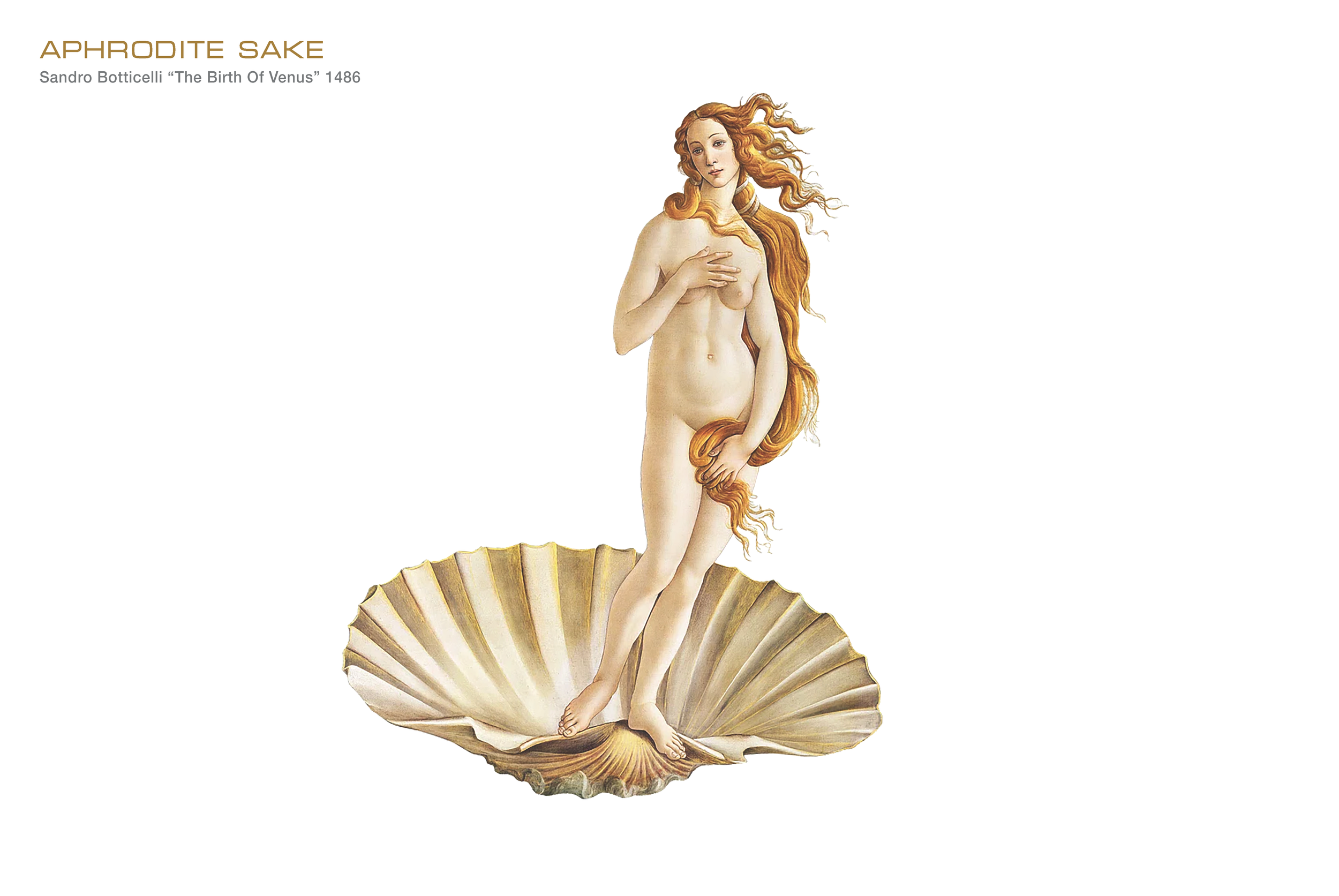 20250214__Aphrodite__Concept Development_Page_015.png