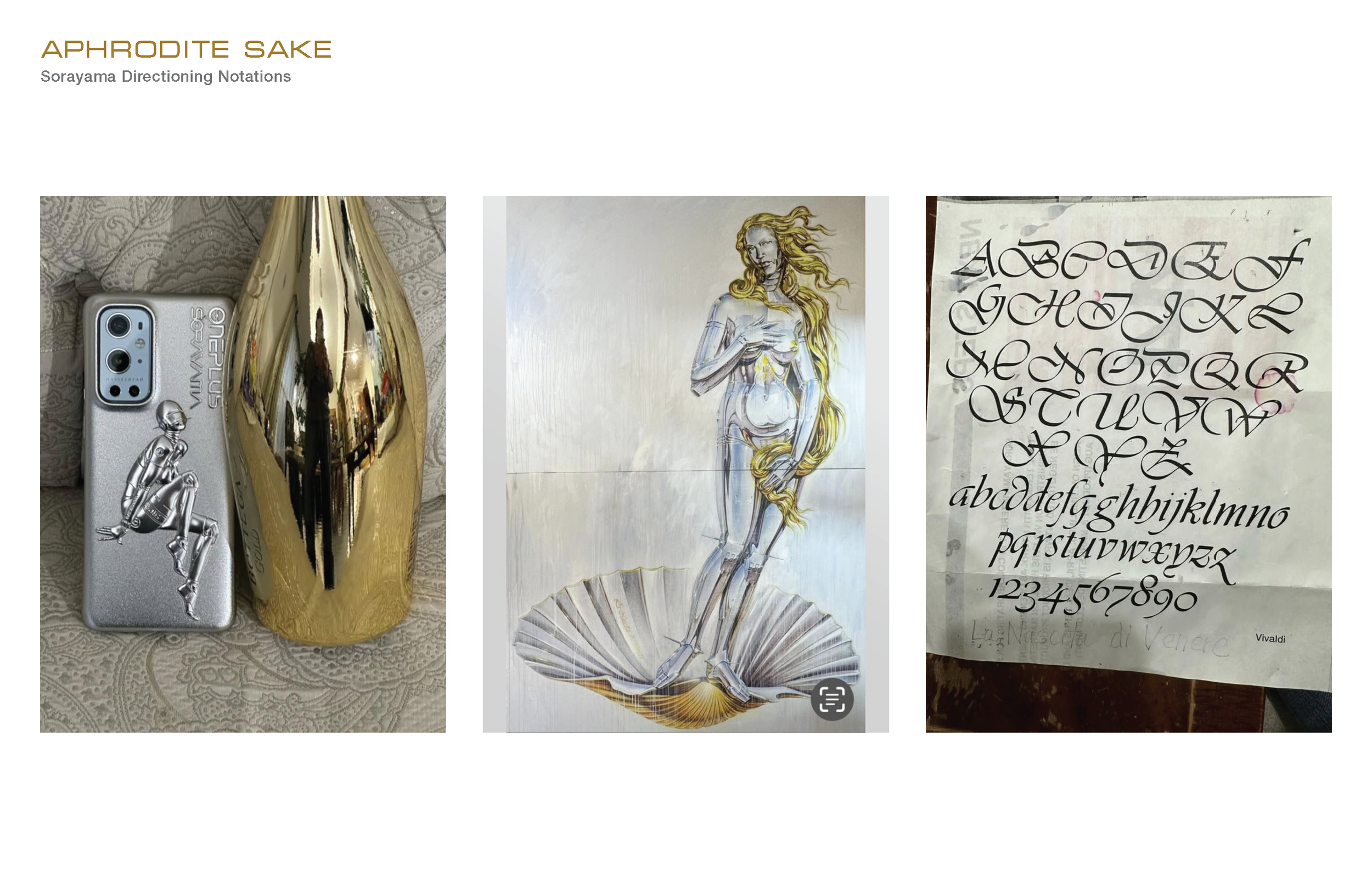 20250214__Aphrodite__Concept Development_Page_012.png