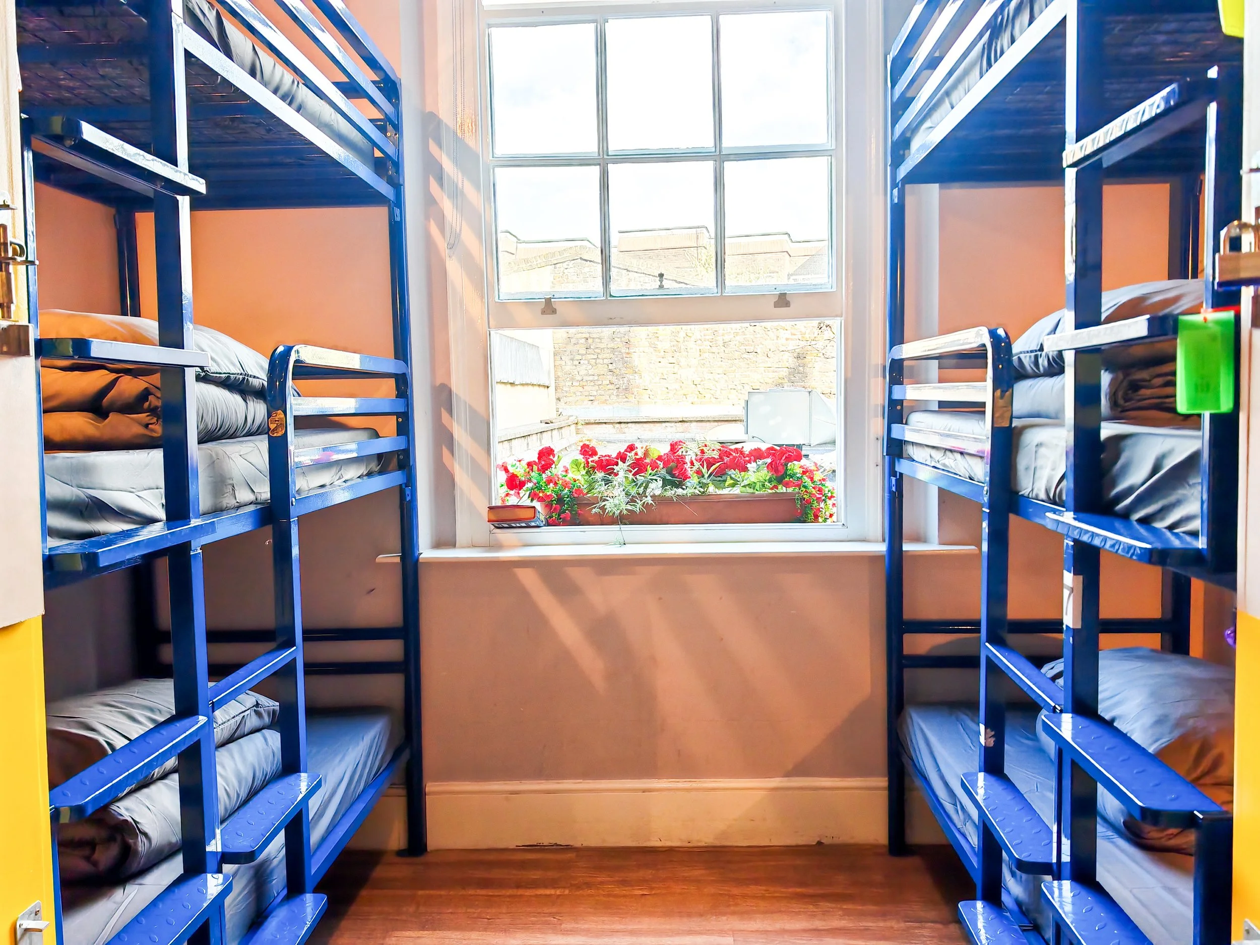 IMG_20251005_120326 (1) - Copy.jpg