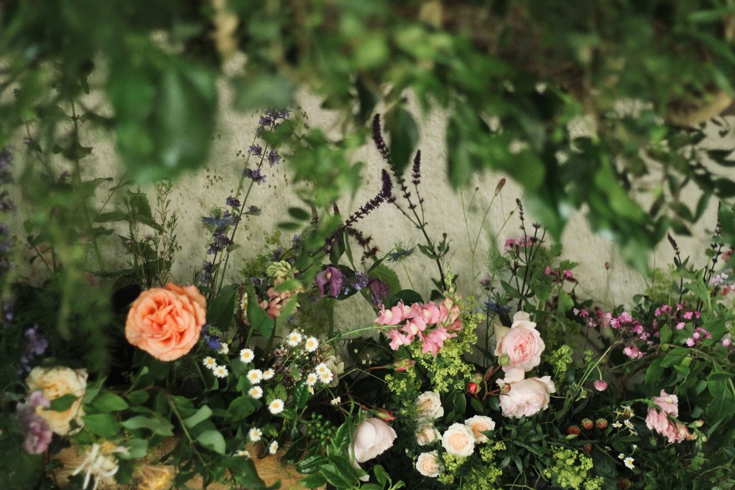 November is running away with me and December is always a gallop! So, let&rsquo;s take a deep breath, enjoy the sun on our faces and remember what an incredible year it&rsquo;s been so far ✨