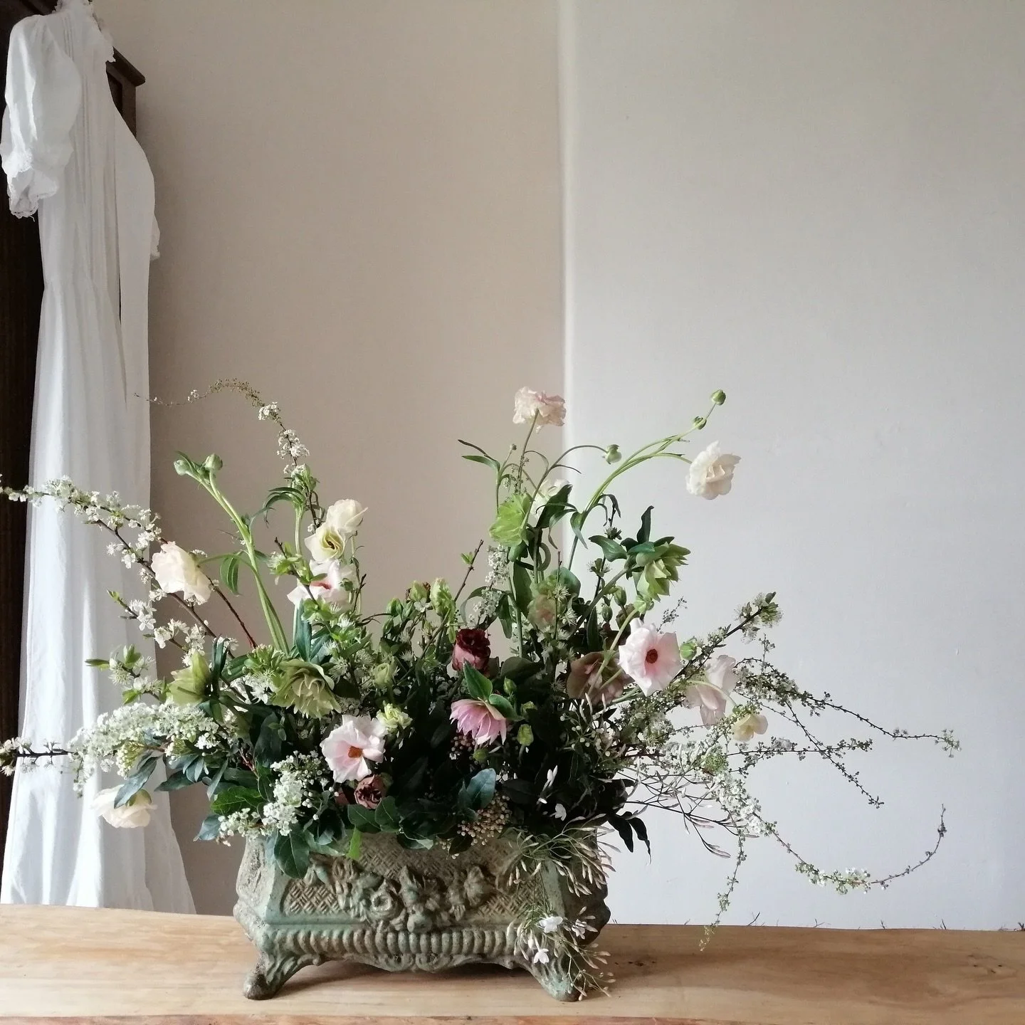 The beauty and whimsical elegance of spring flowers