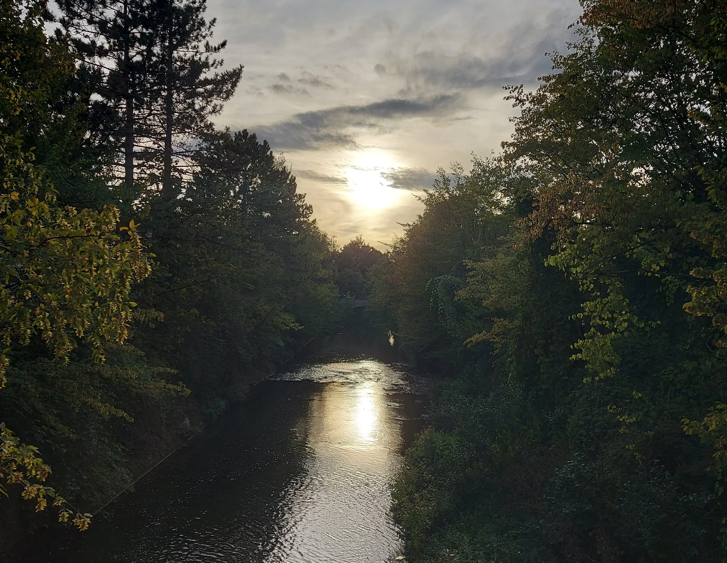 The Wondrous Living Way