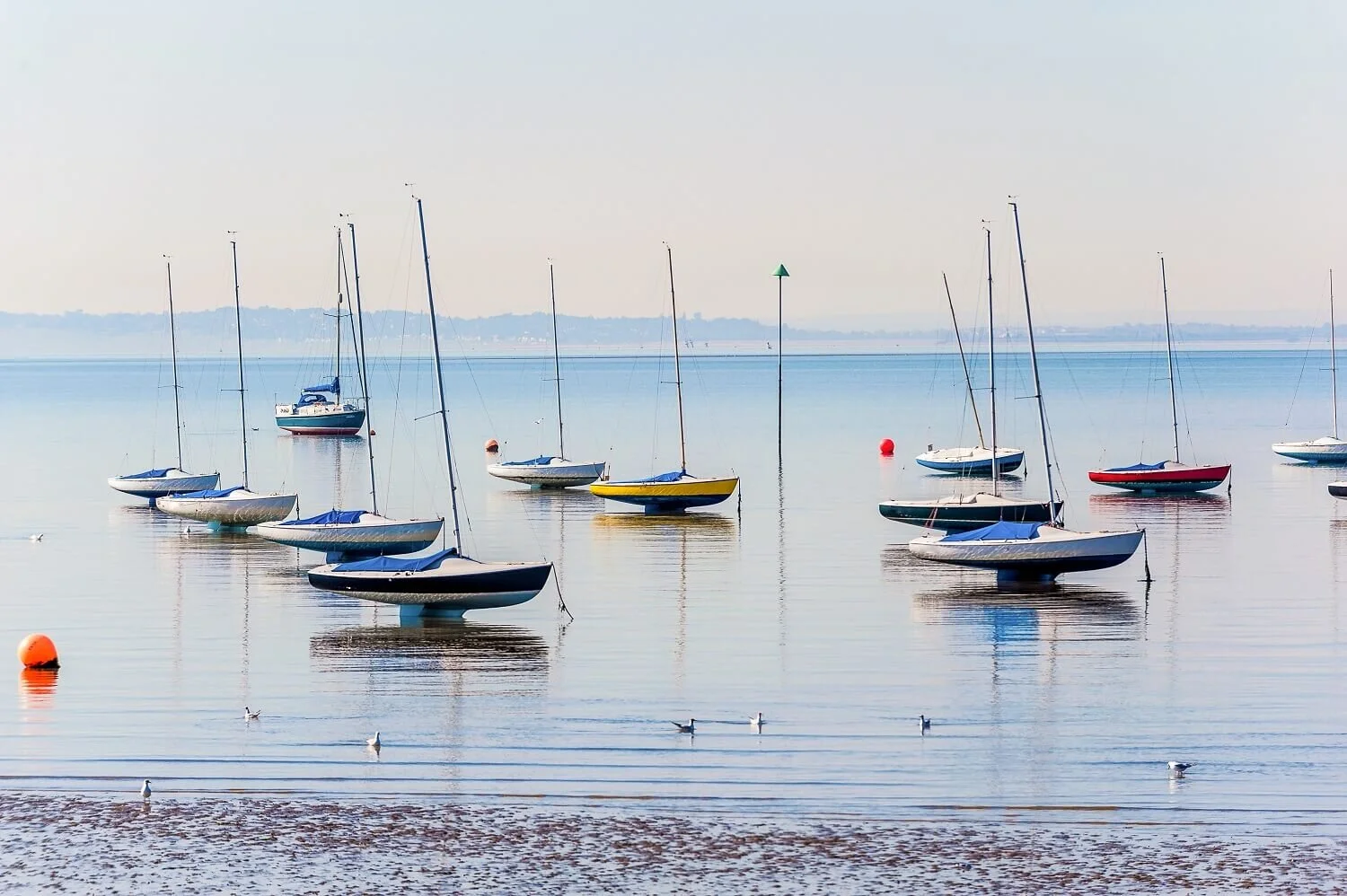 David Morris News — David Morris Yacht Brokerage