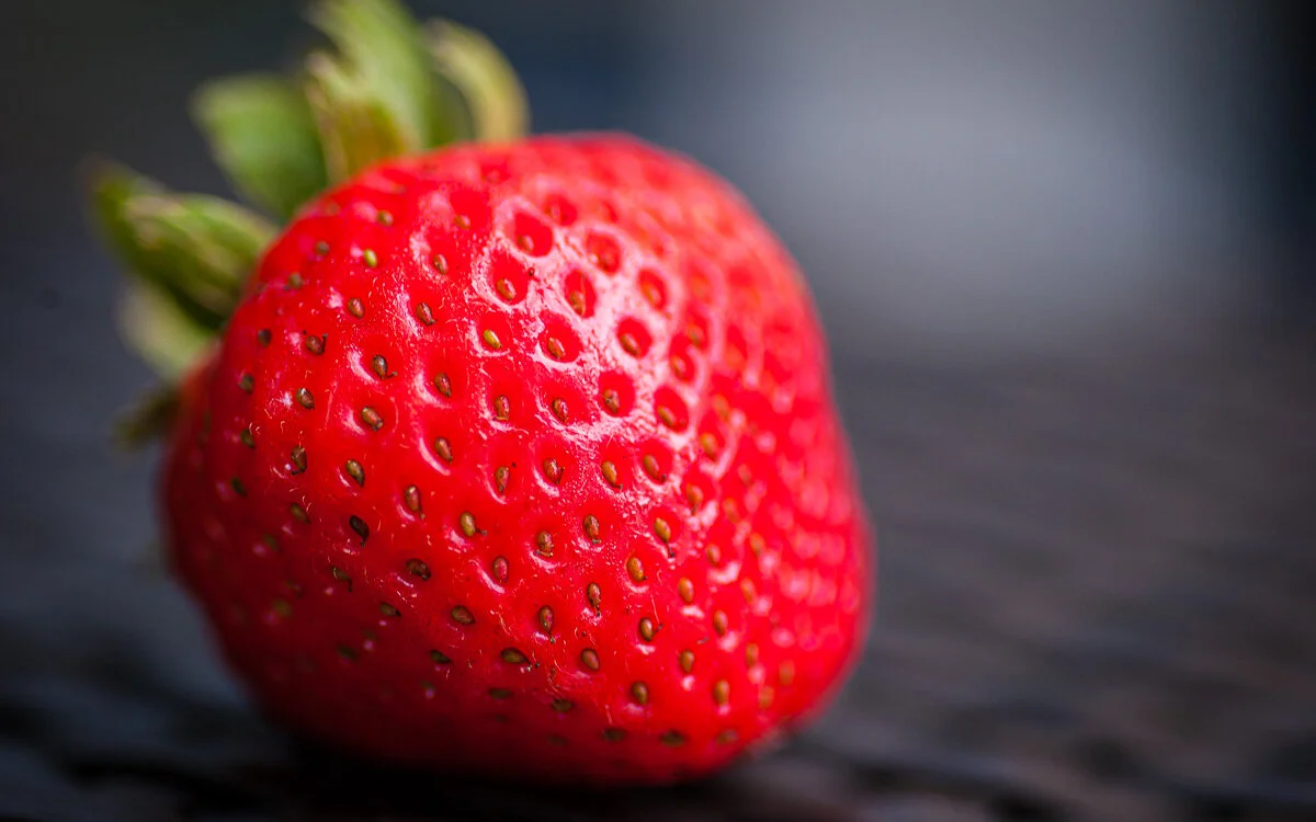 Food & Drink-JPS-40.jpg