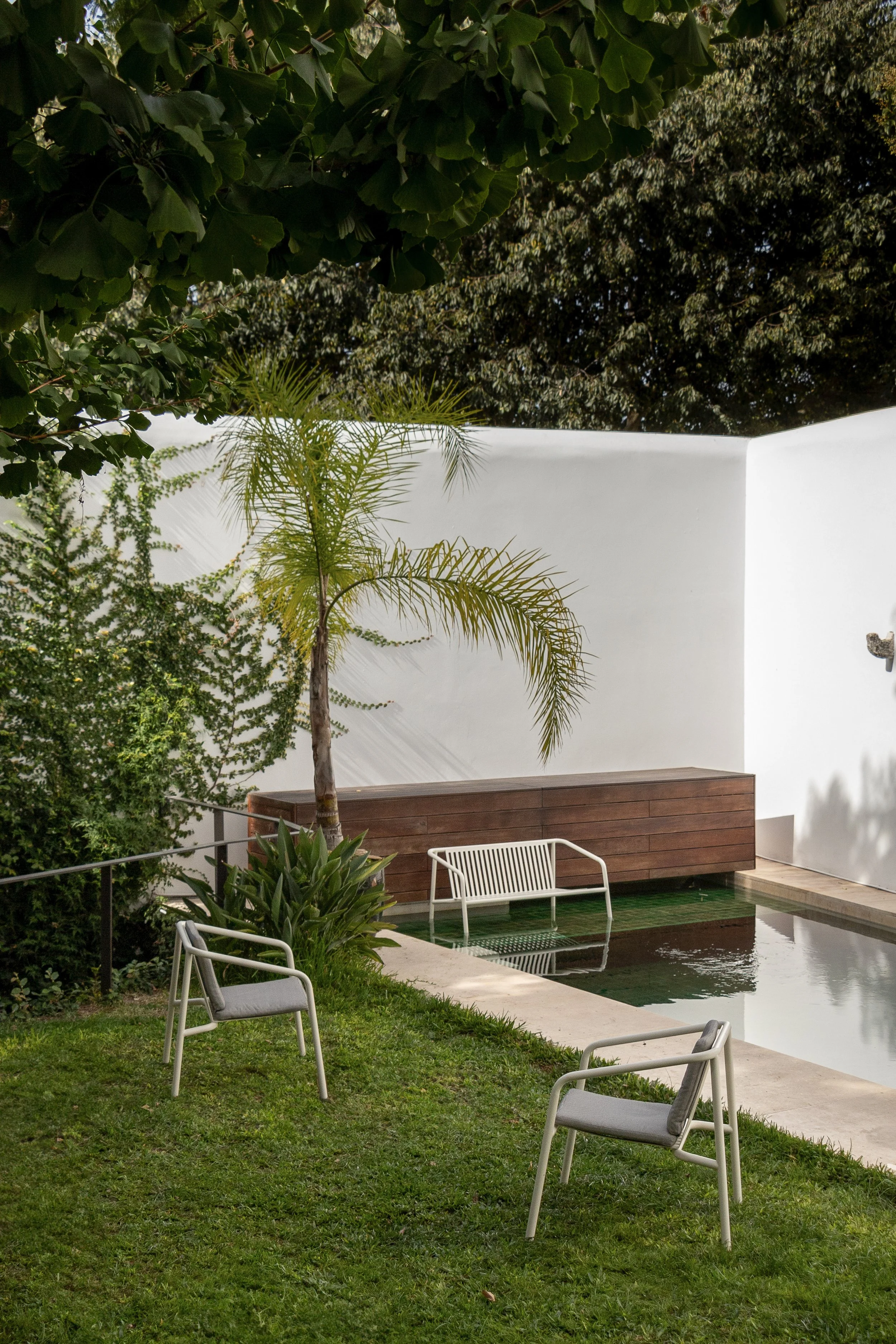 Photo -4141 - Copia-Edit.jpg