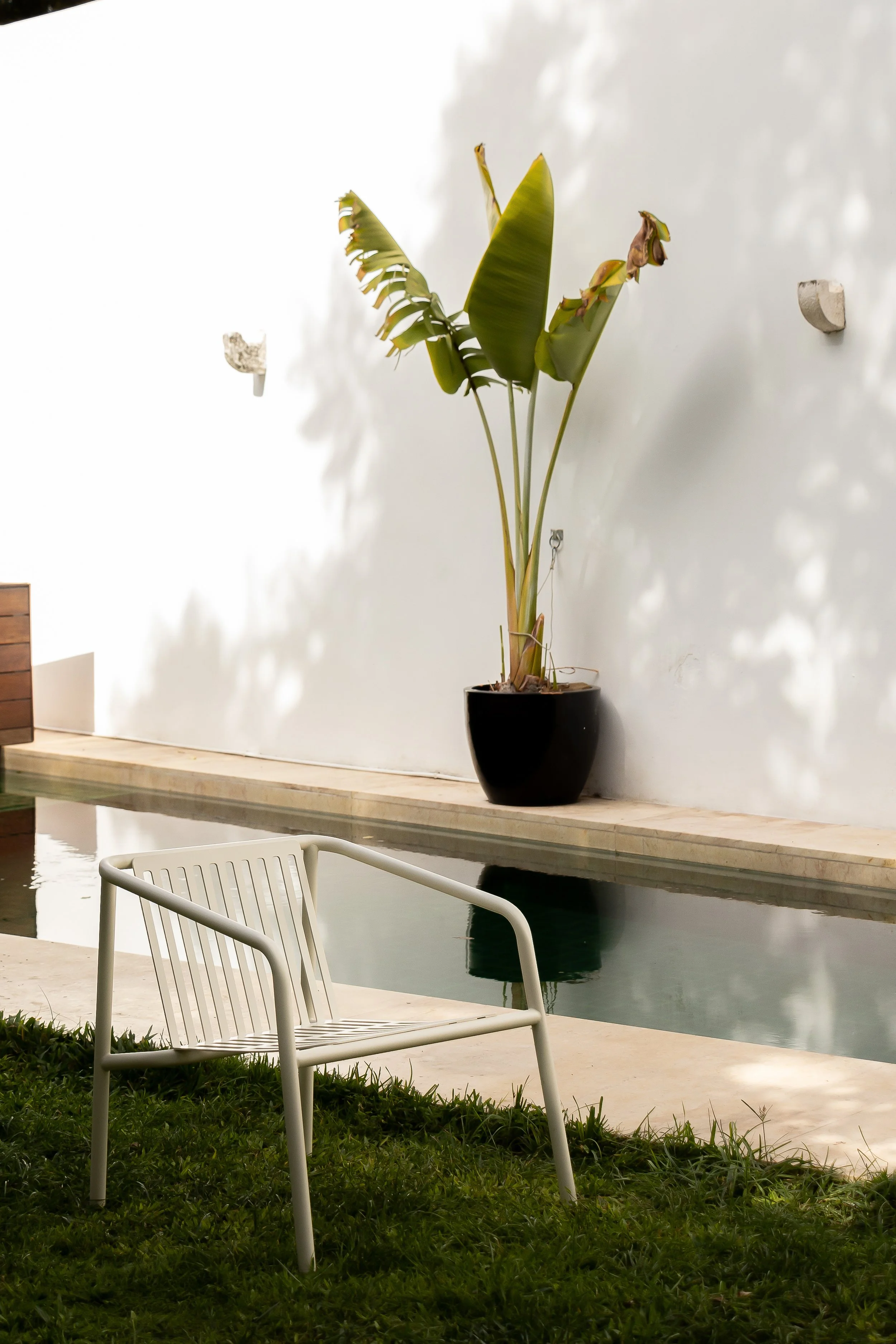 Photo -4137 - Copia.jpg